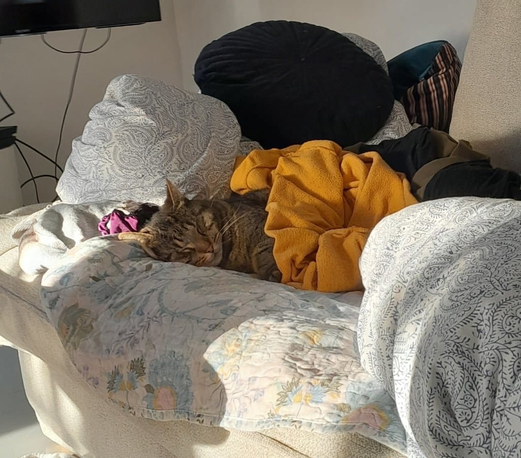 image-16
