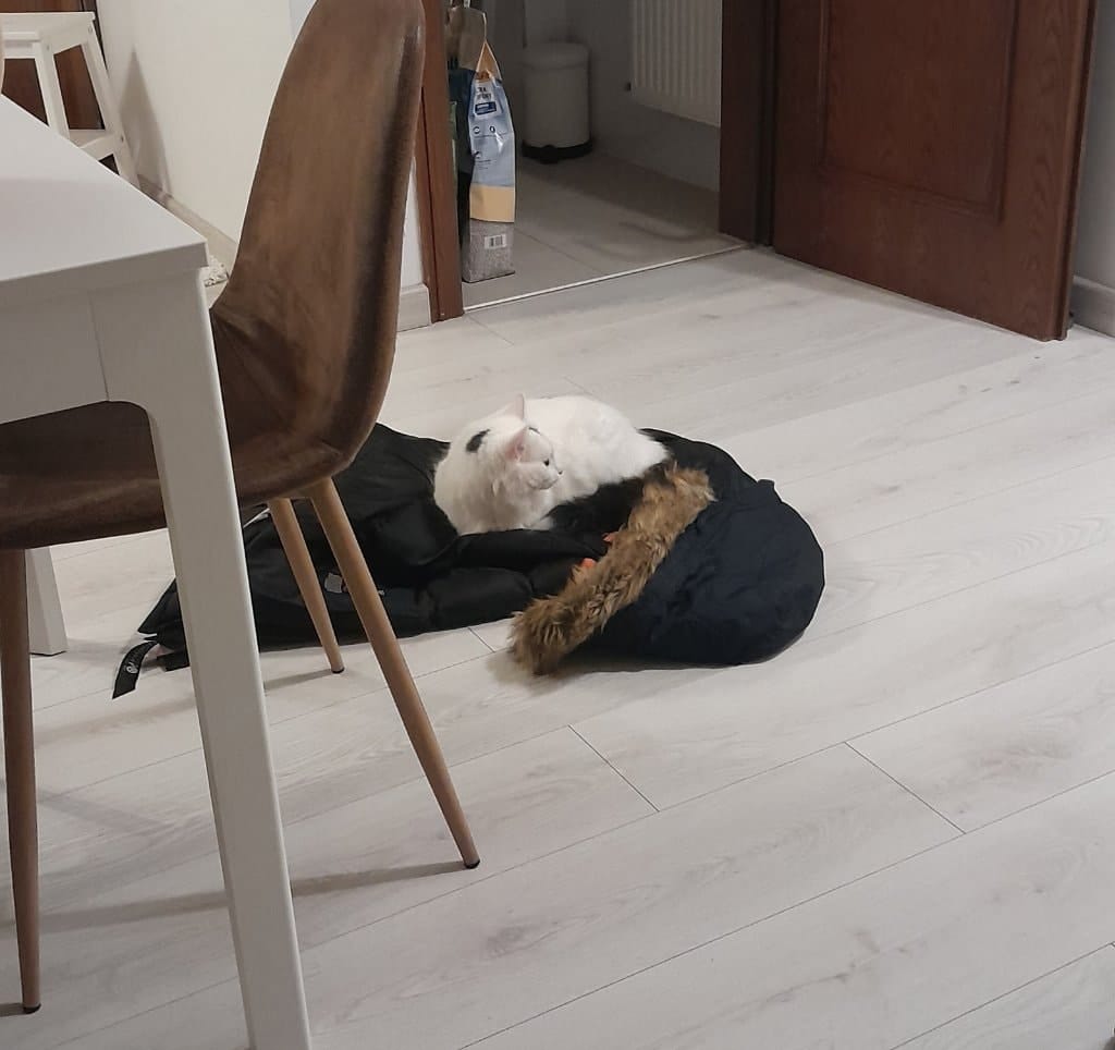 image-20