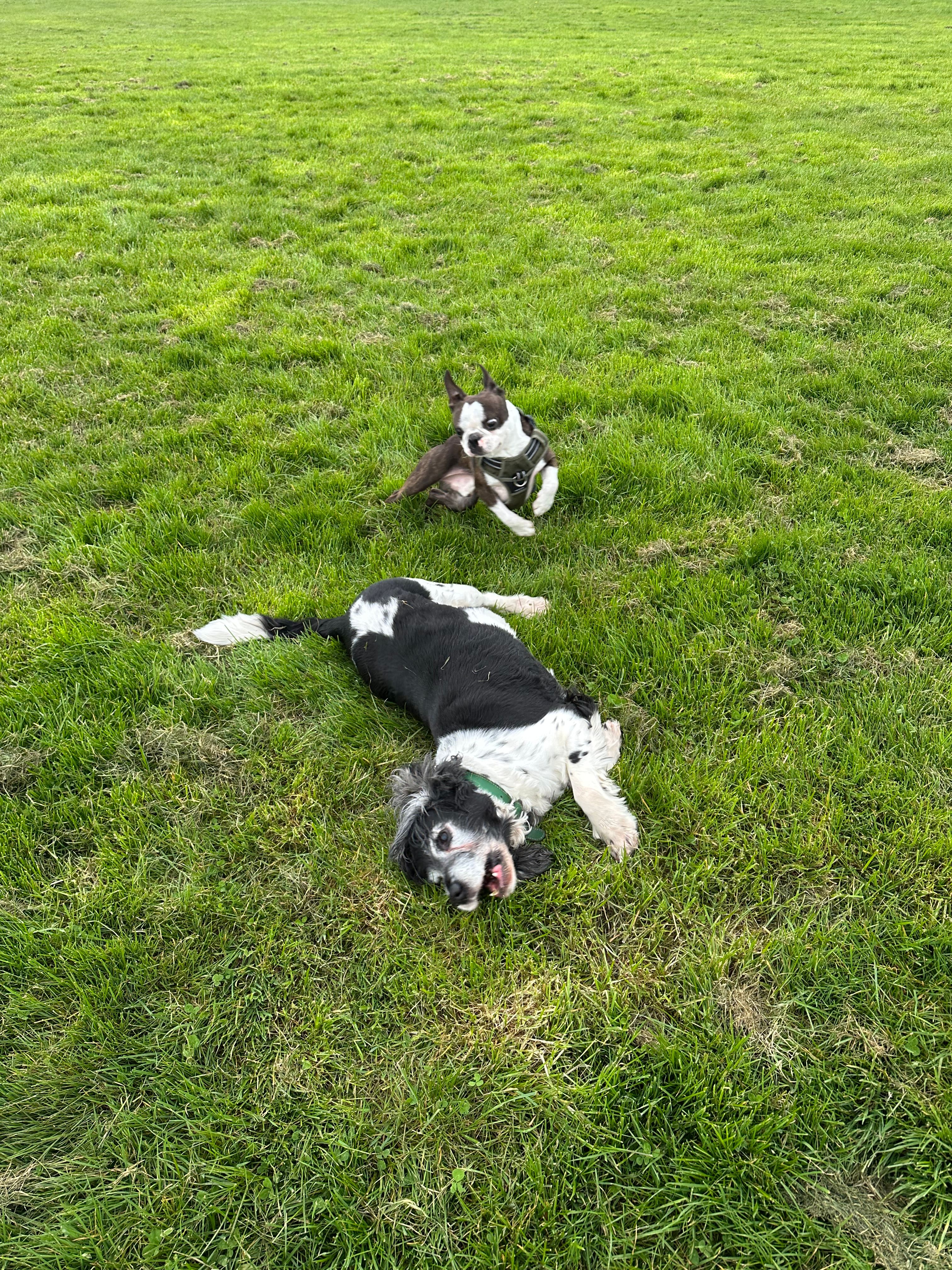 image-9