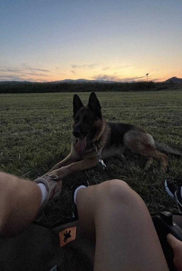 image-9