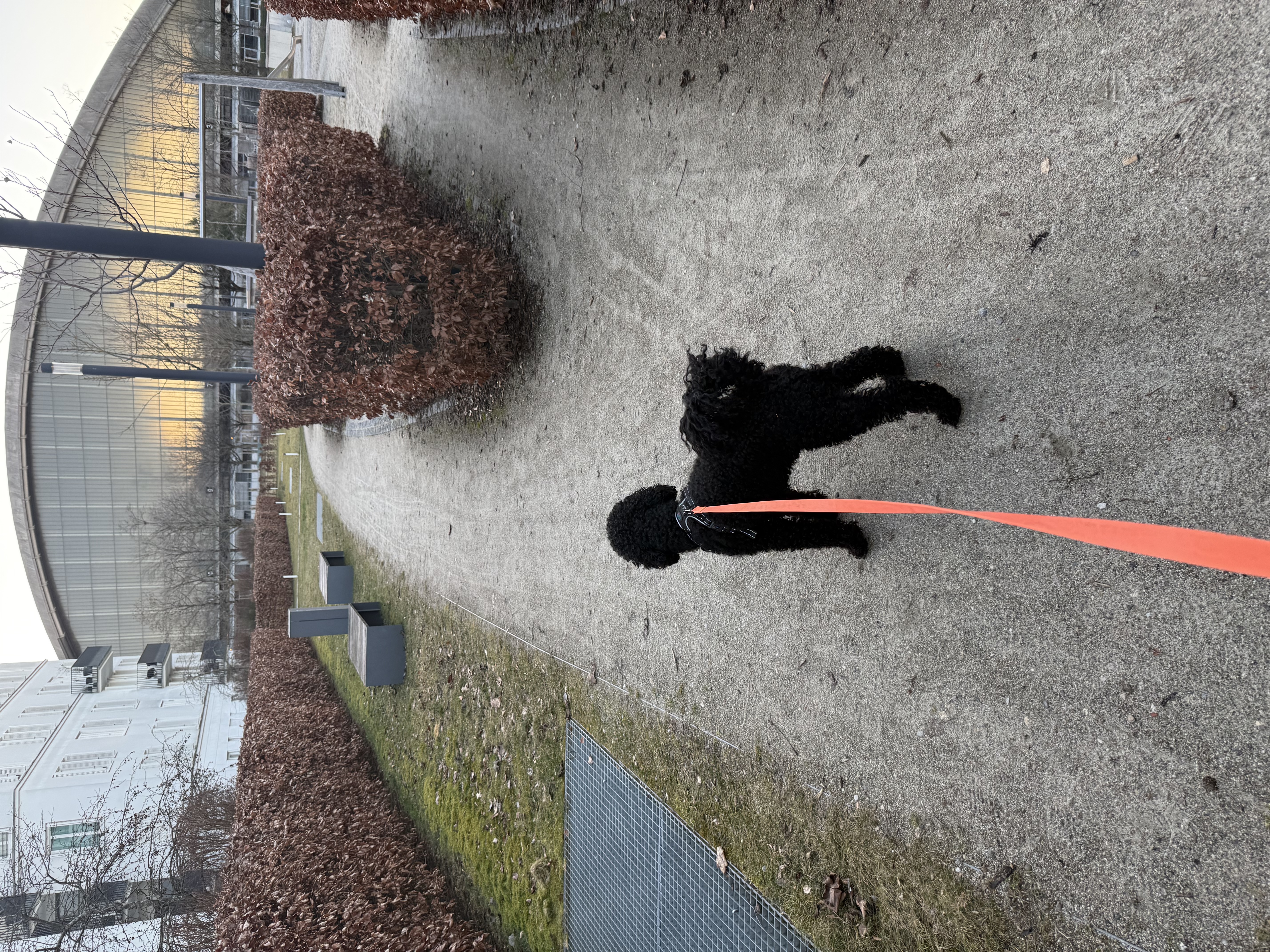image-8