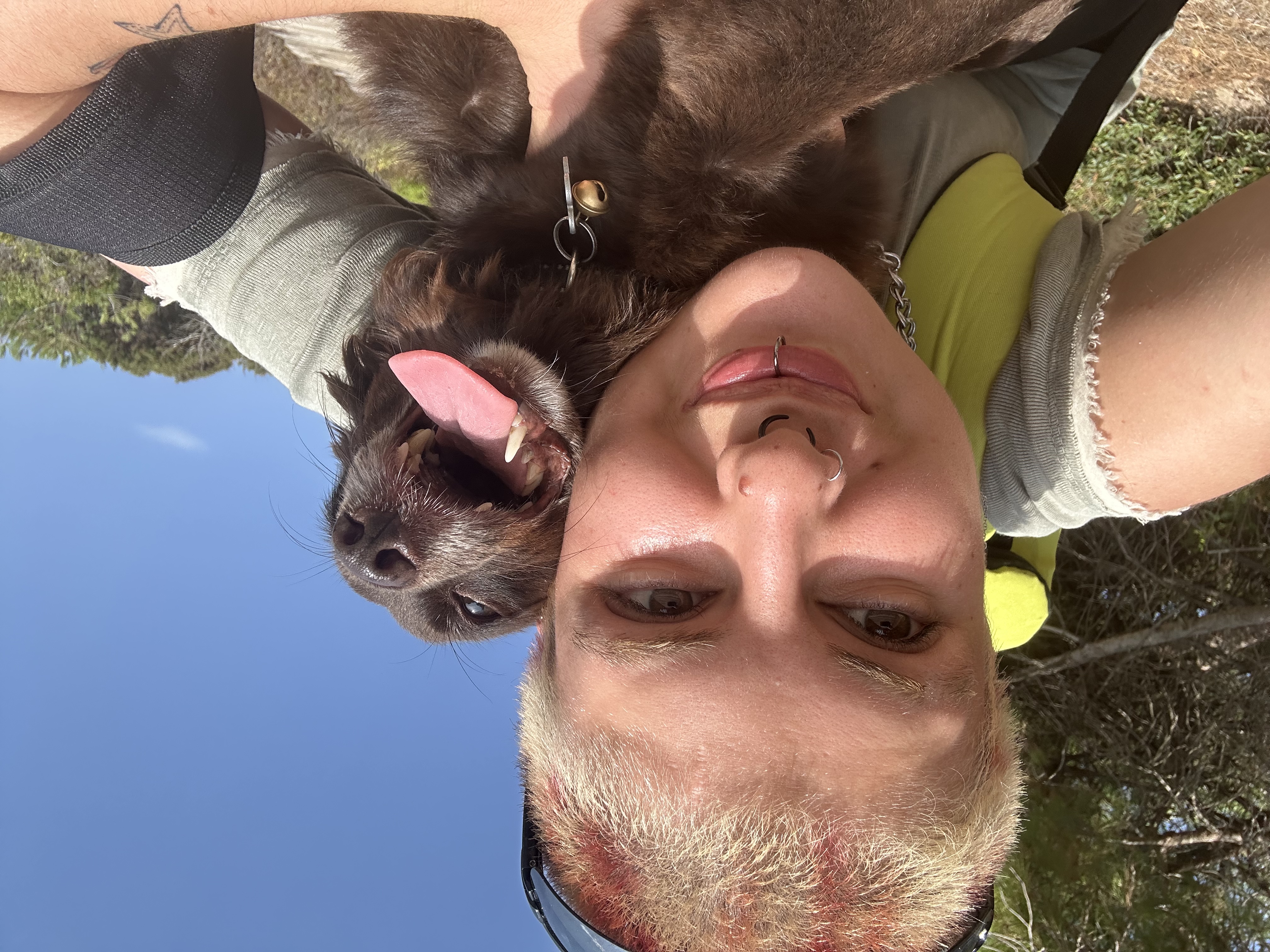 image-1