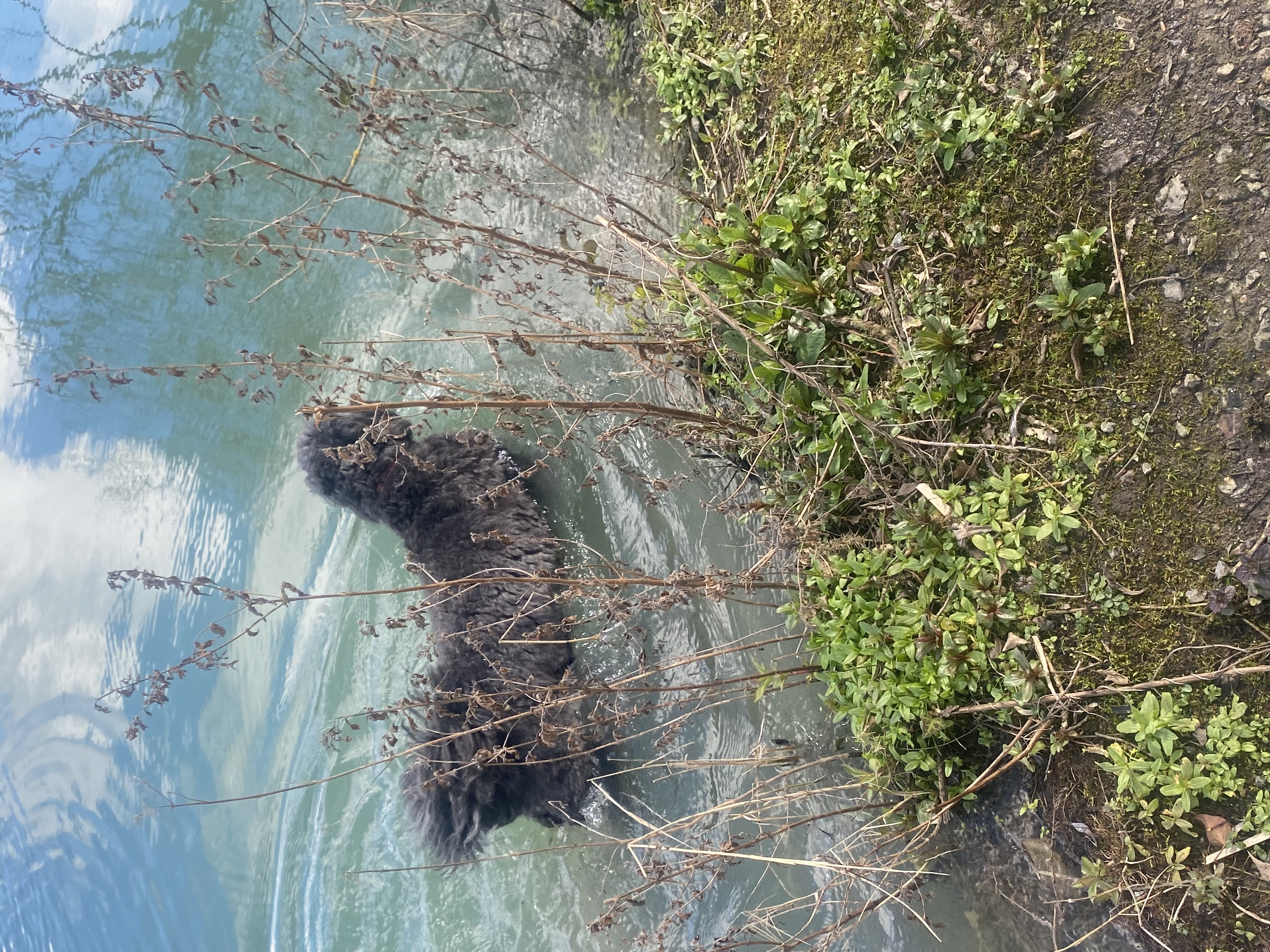 image-6