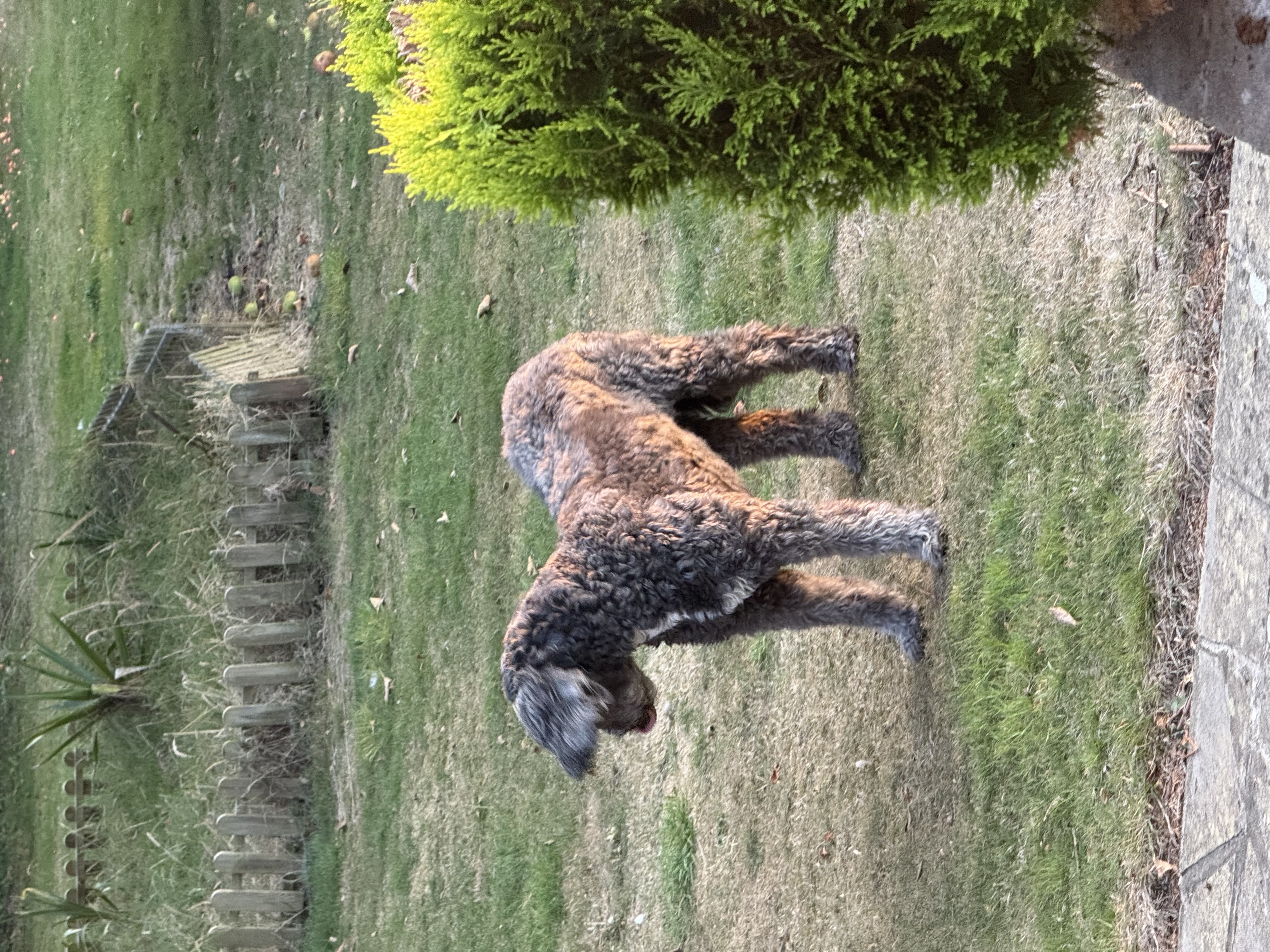 image-13