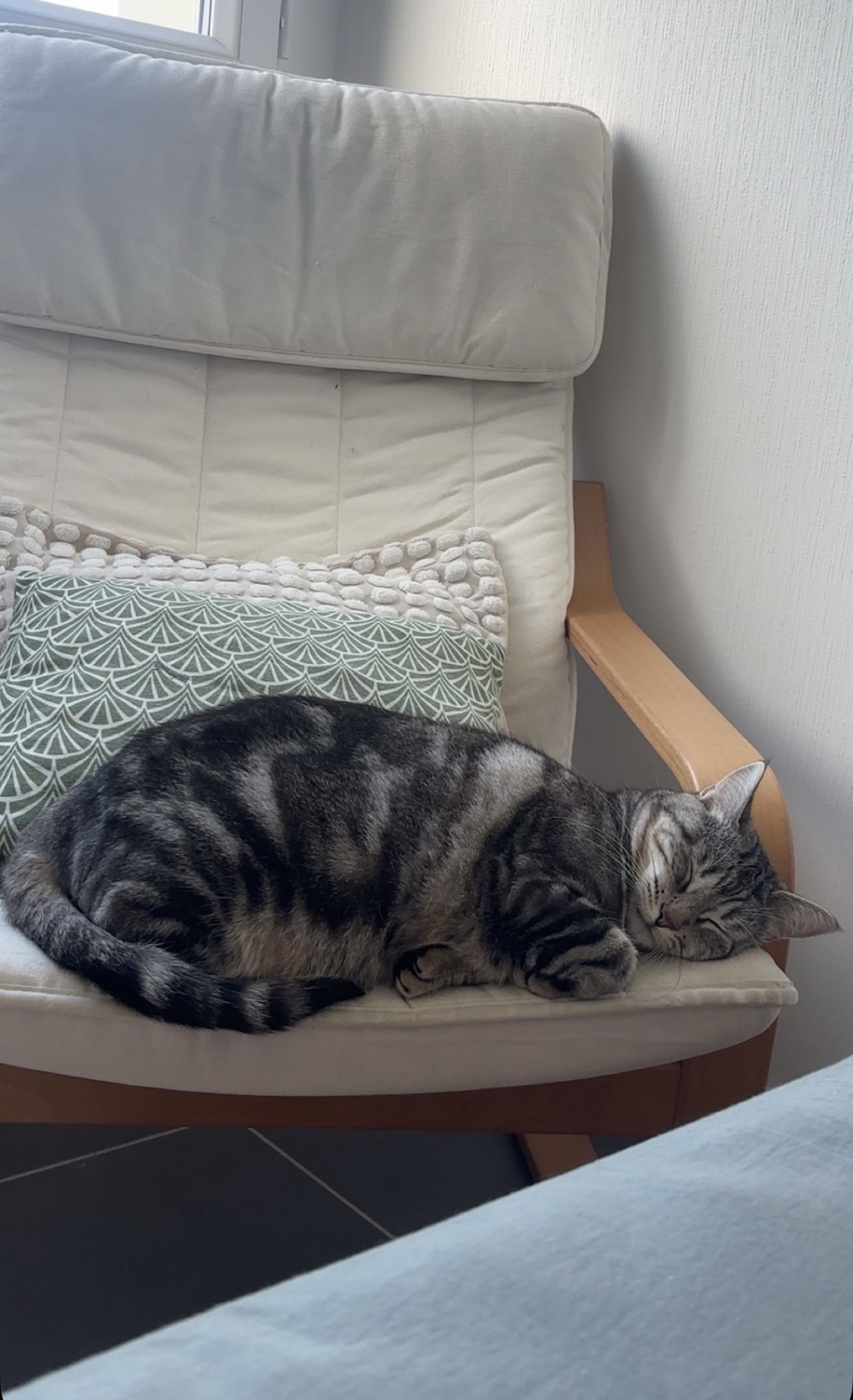 image-5