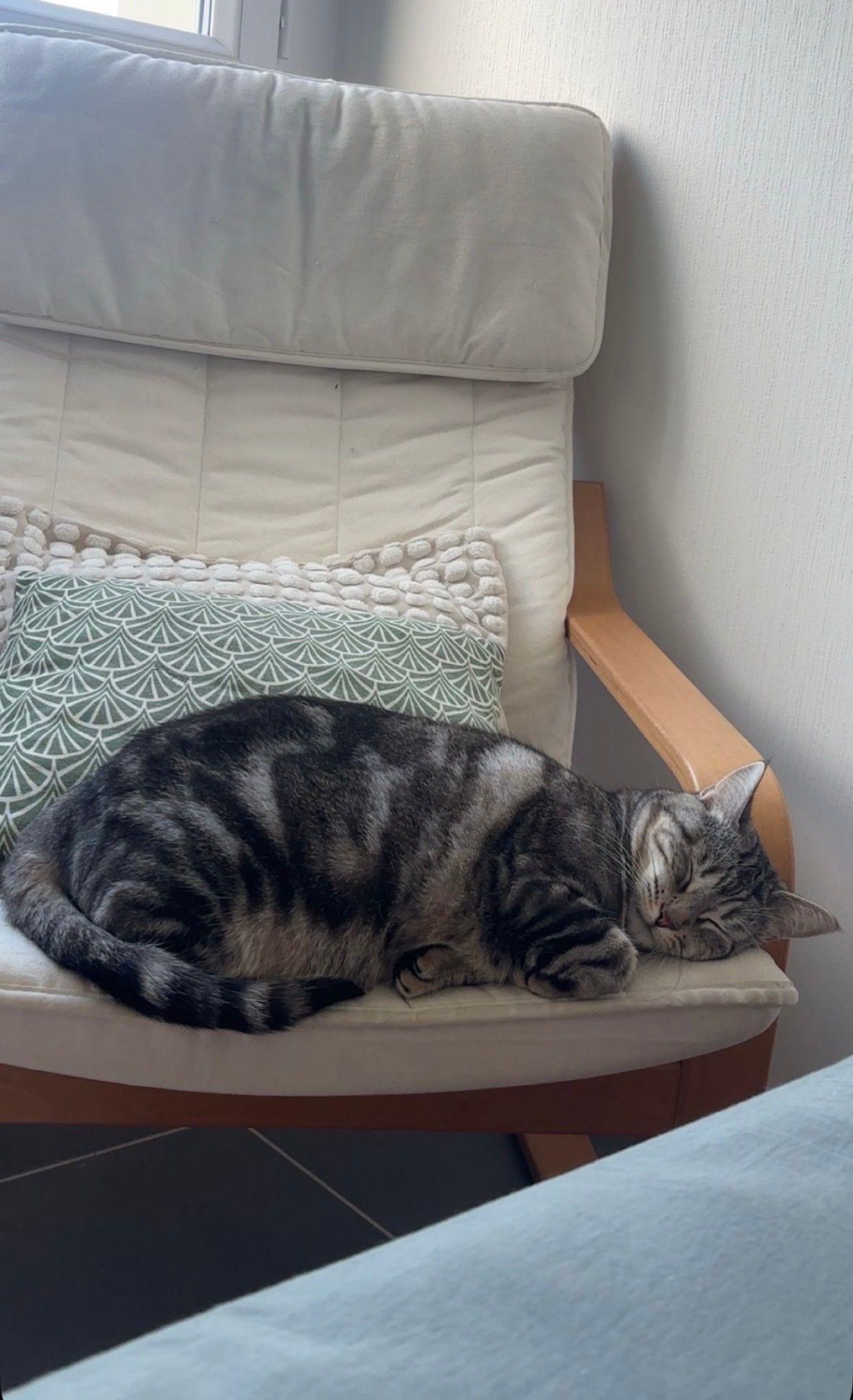 image-5