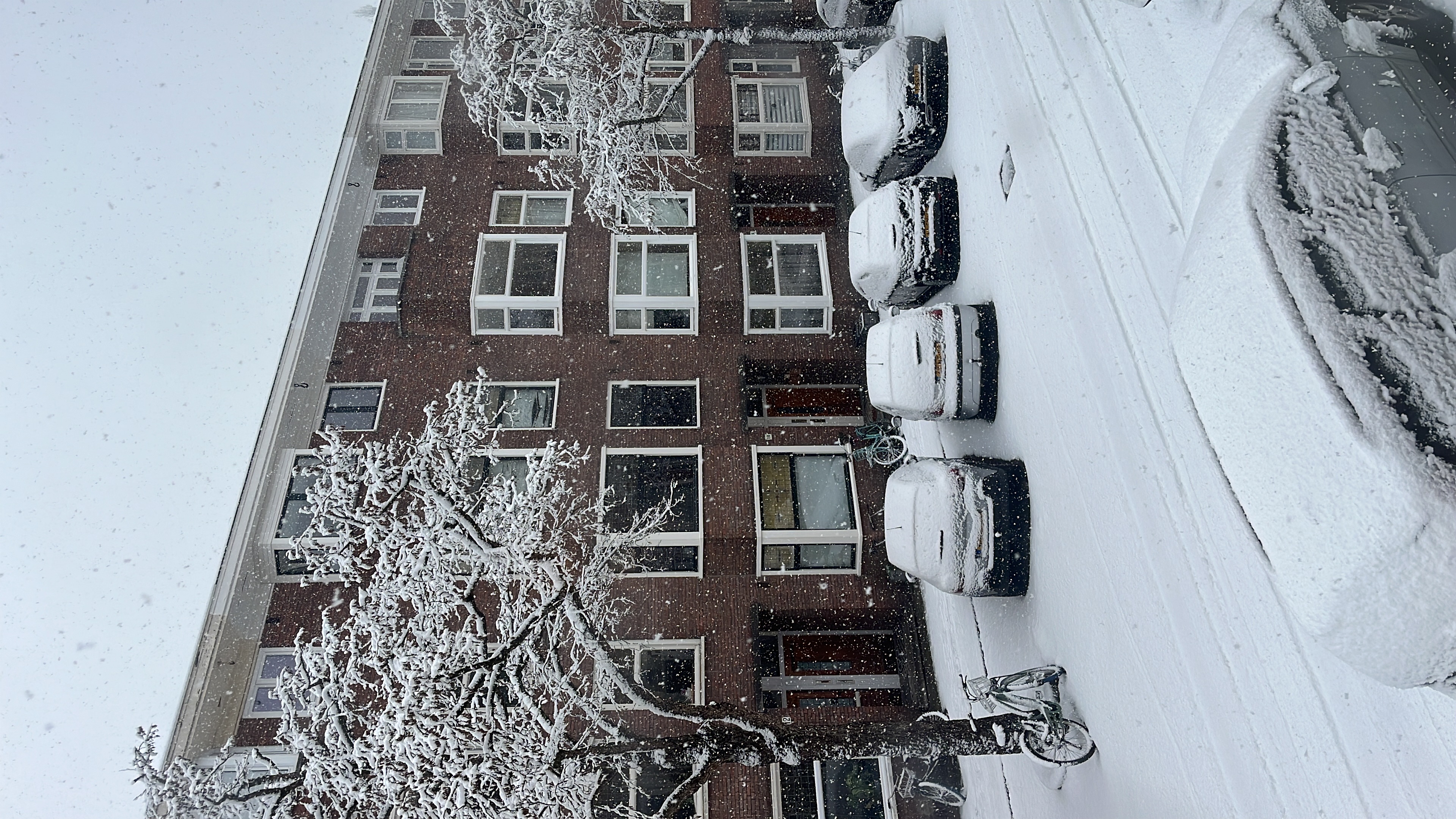 image-17
