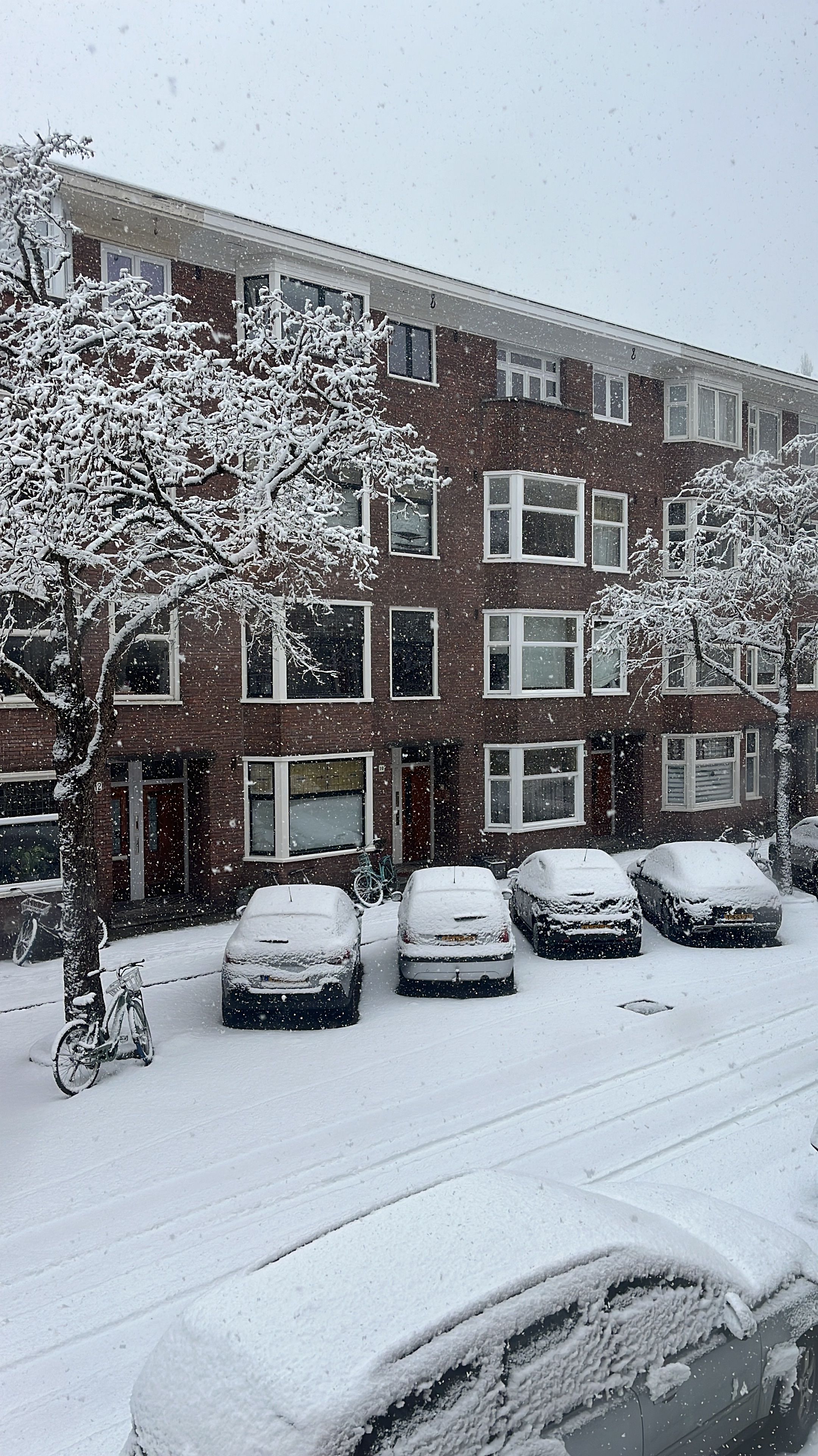 image-17