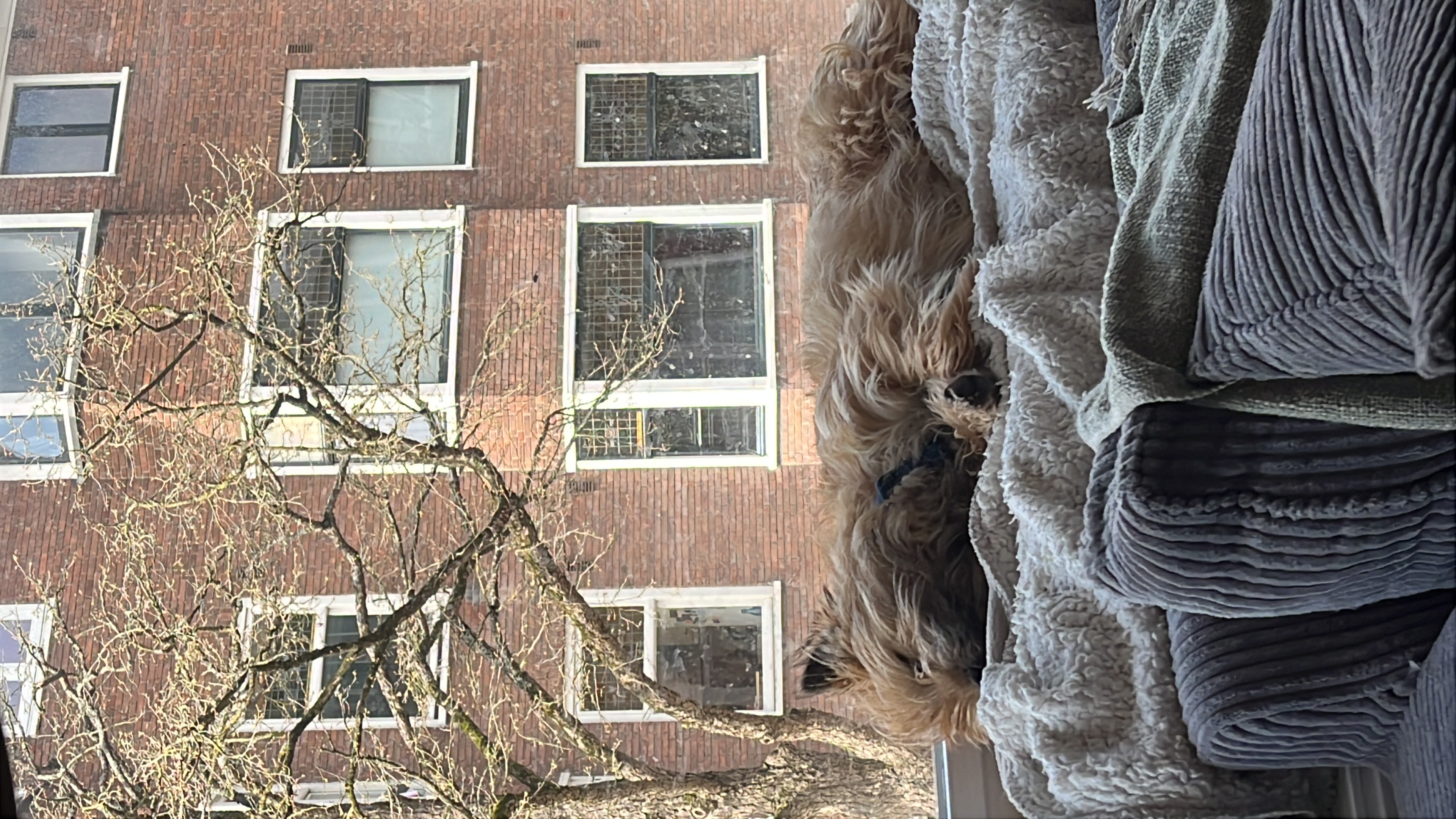 image-16
