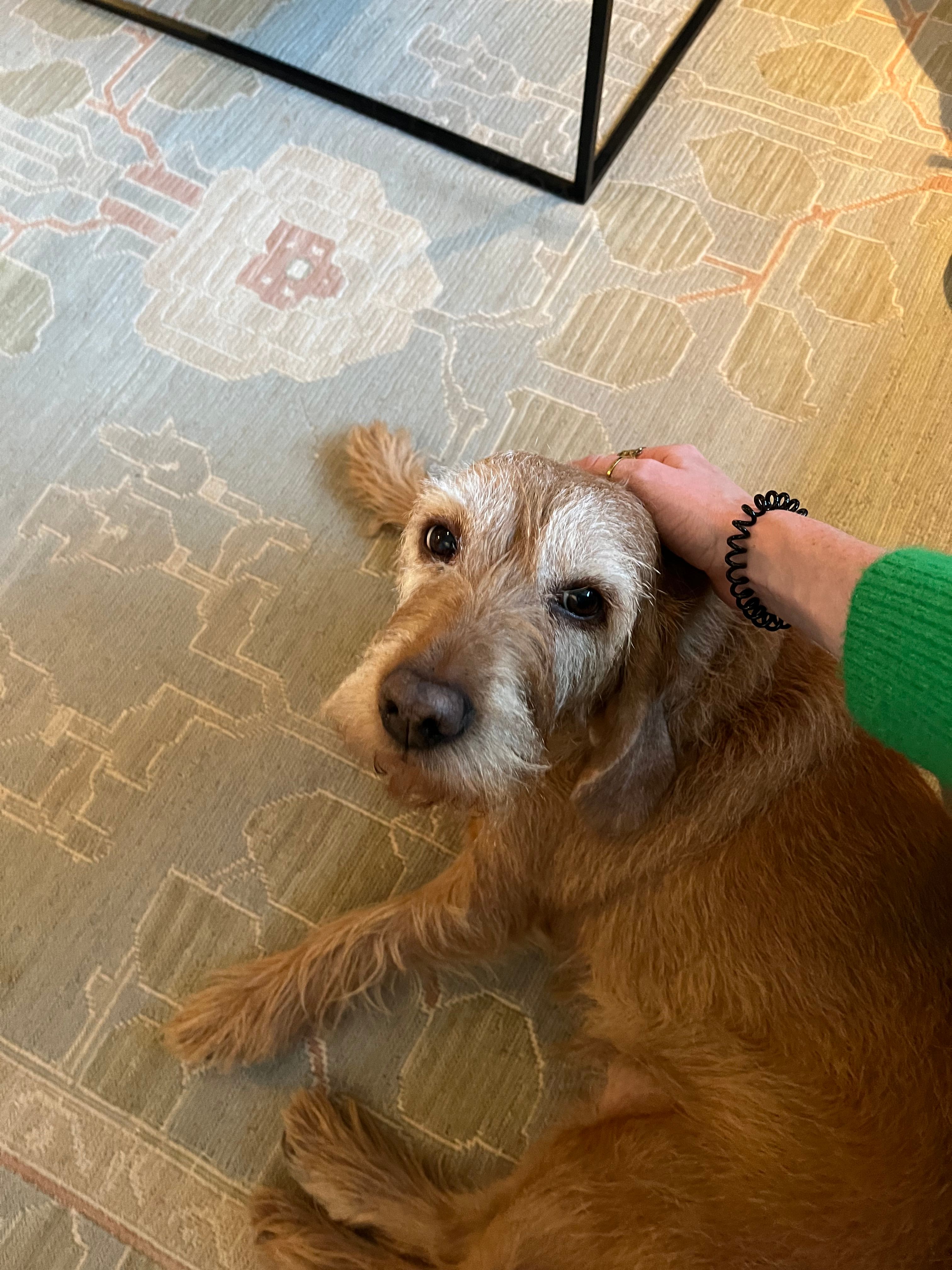 image-8