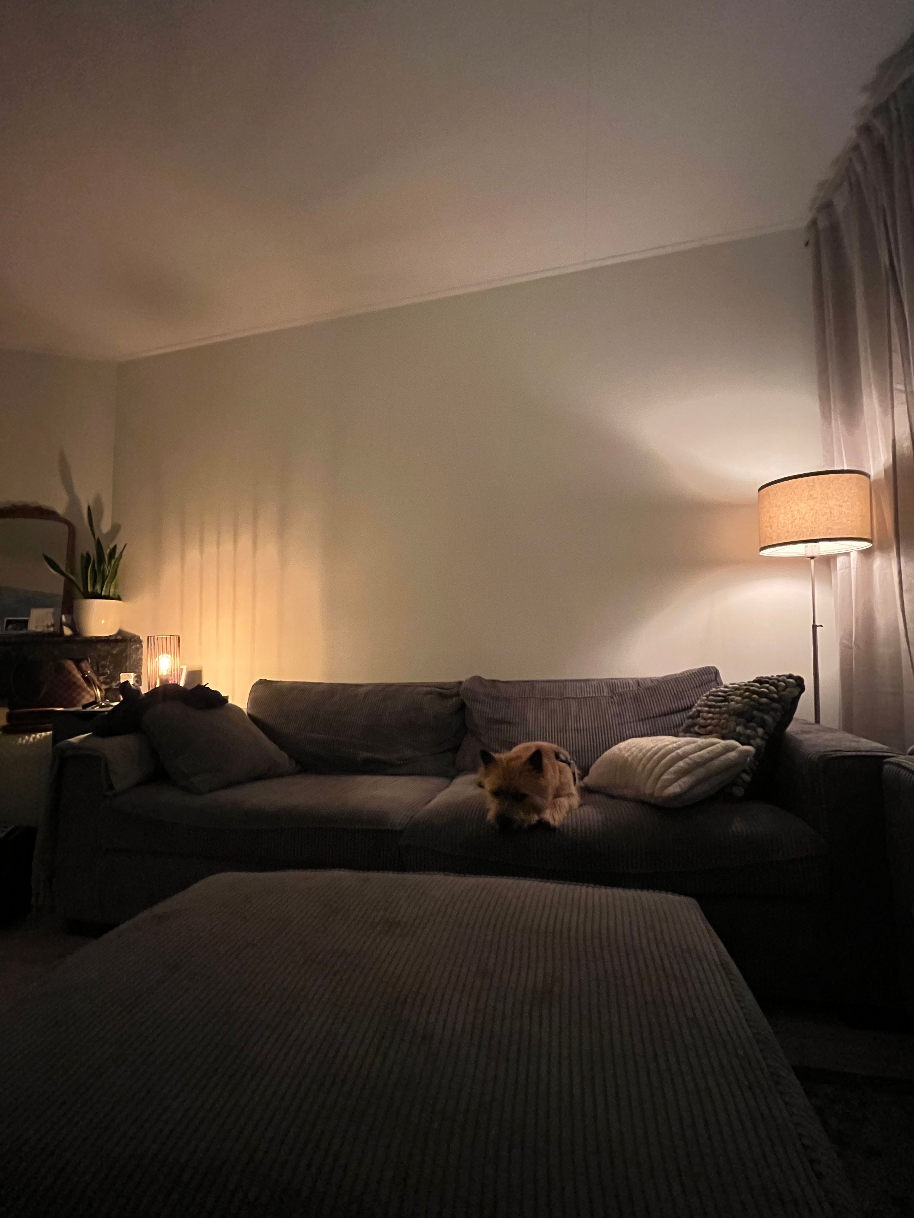 image-15