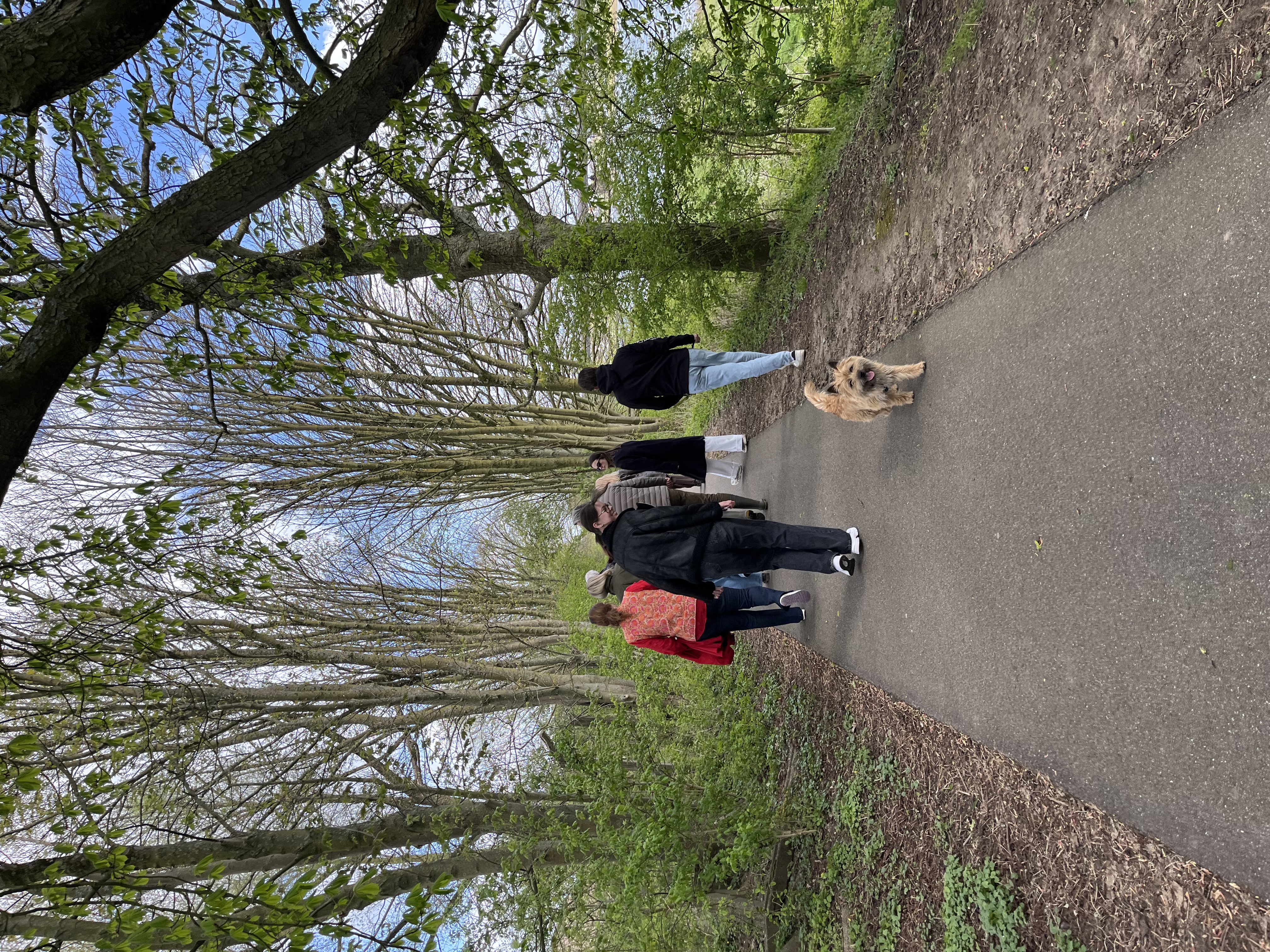 image-10