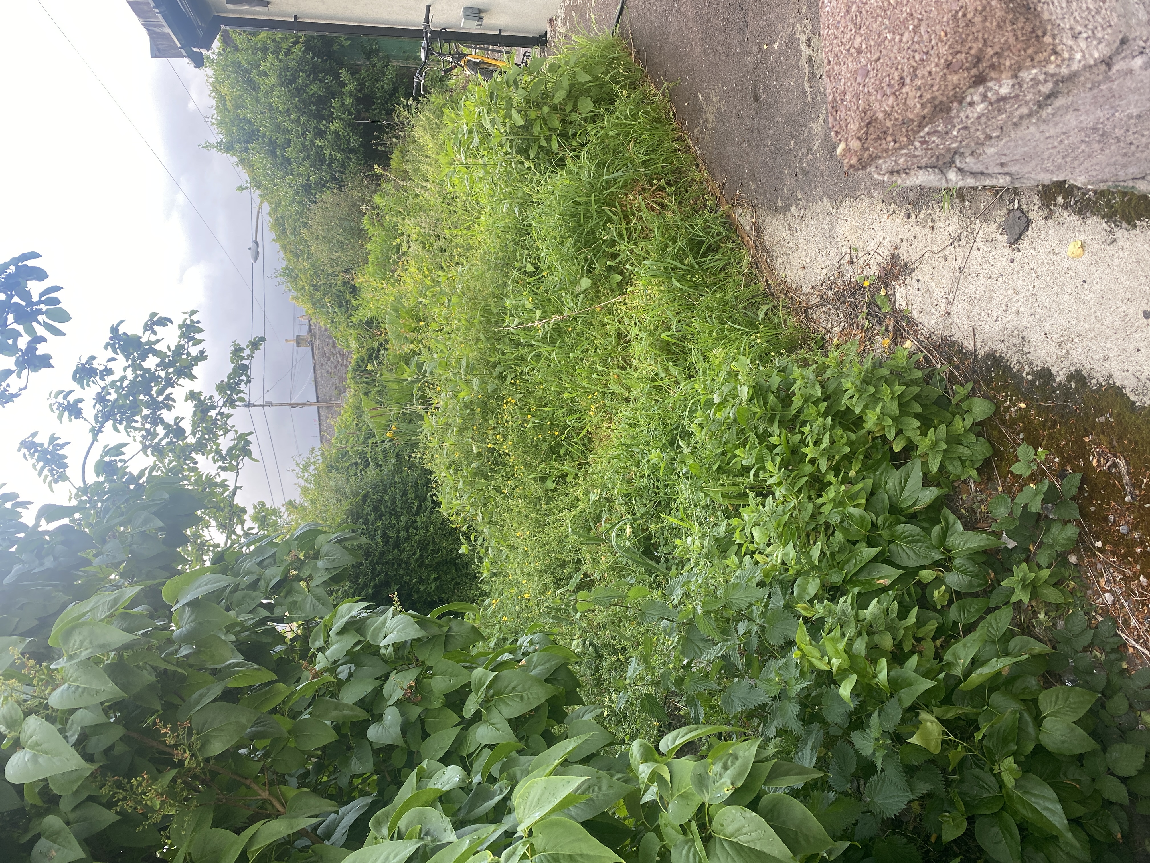 image-7