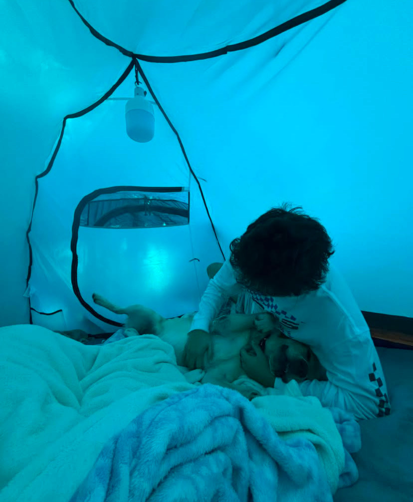 image-3