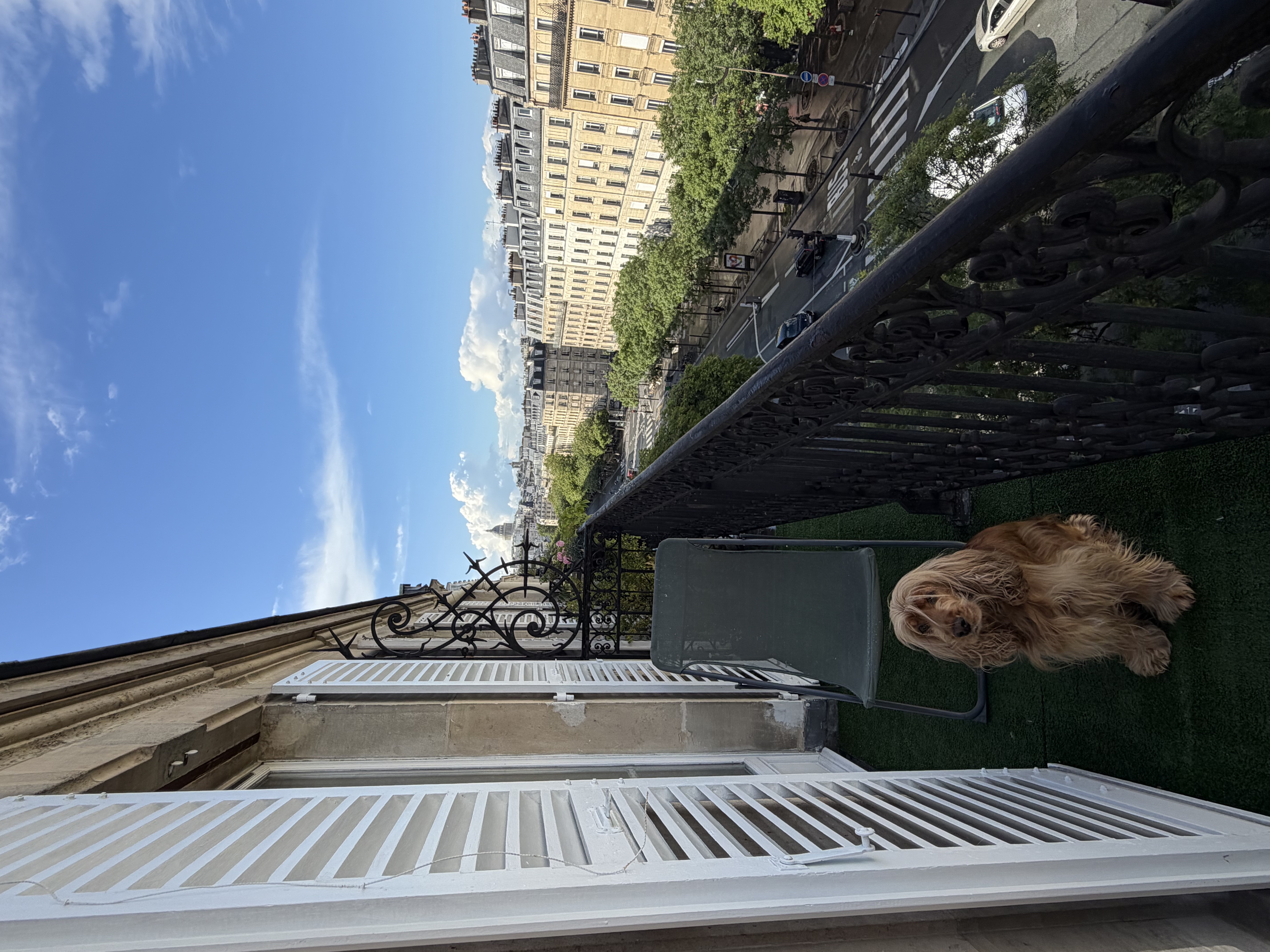 image-17