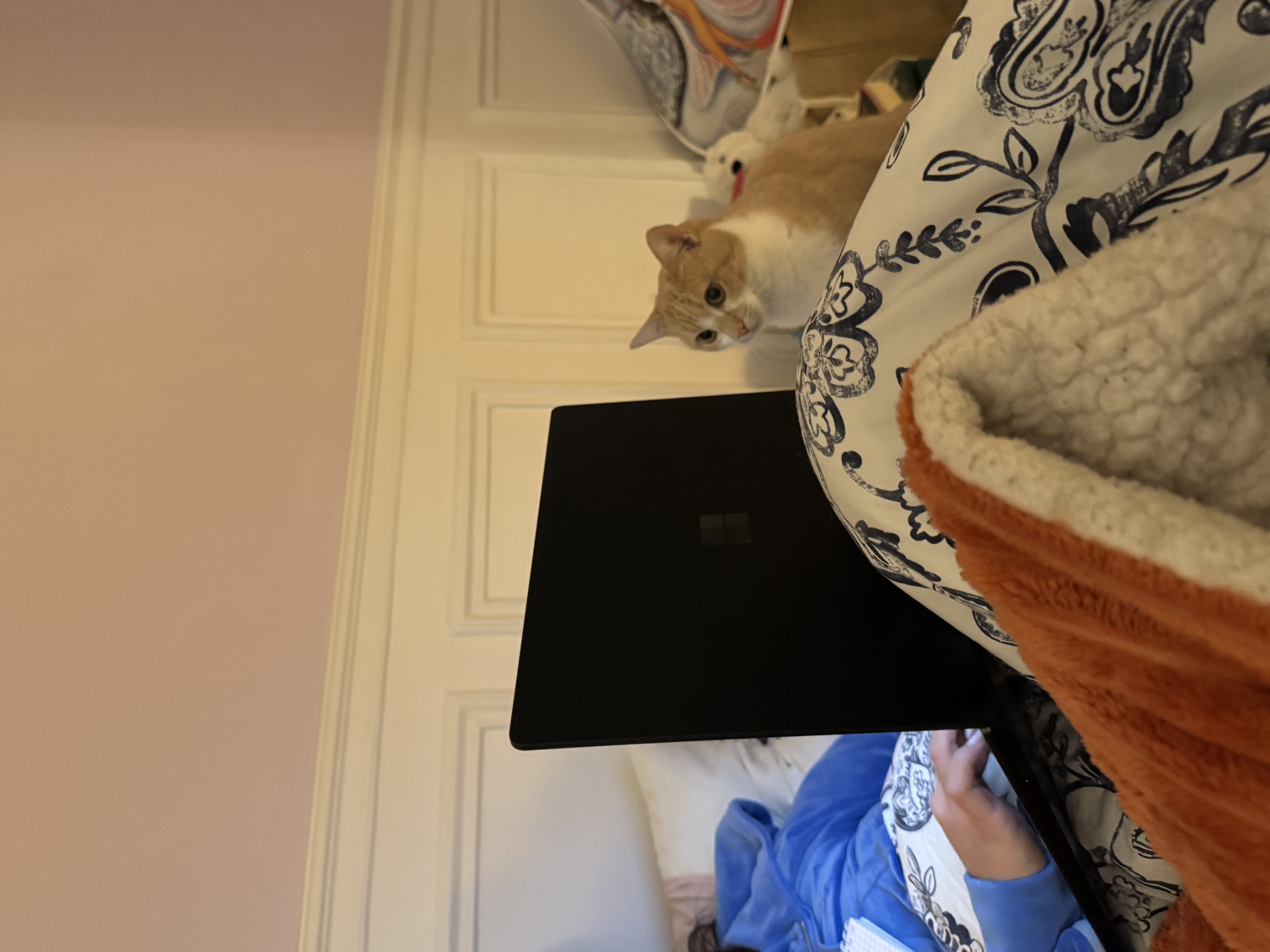 image-6