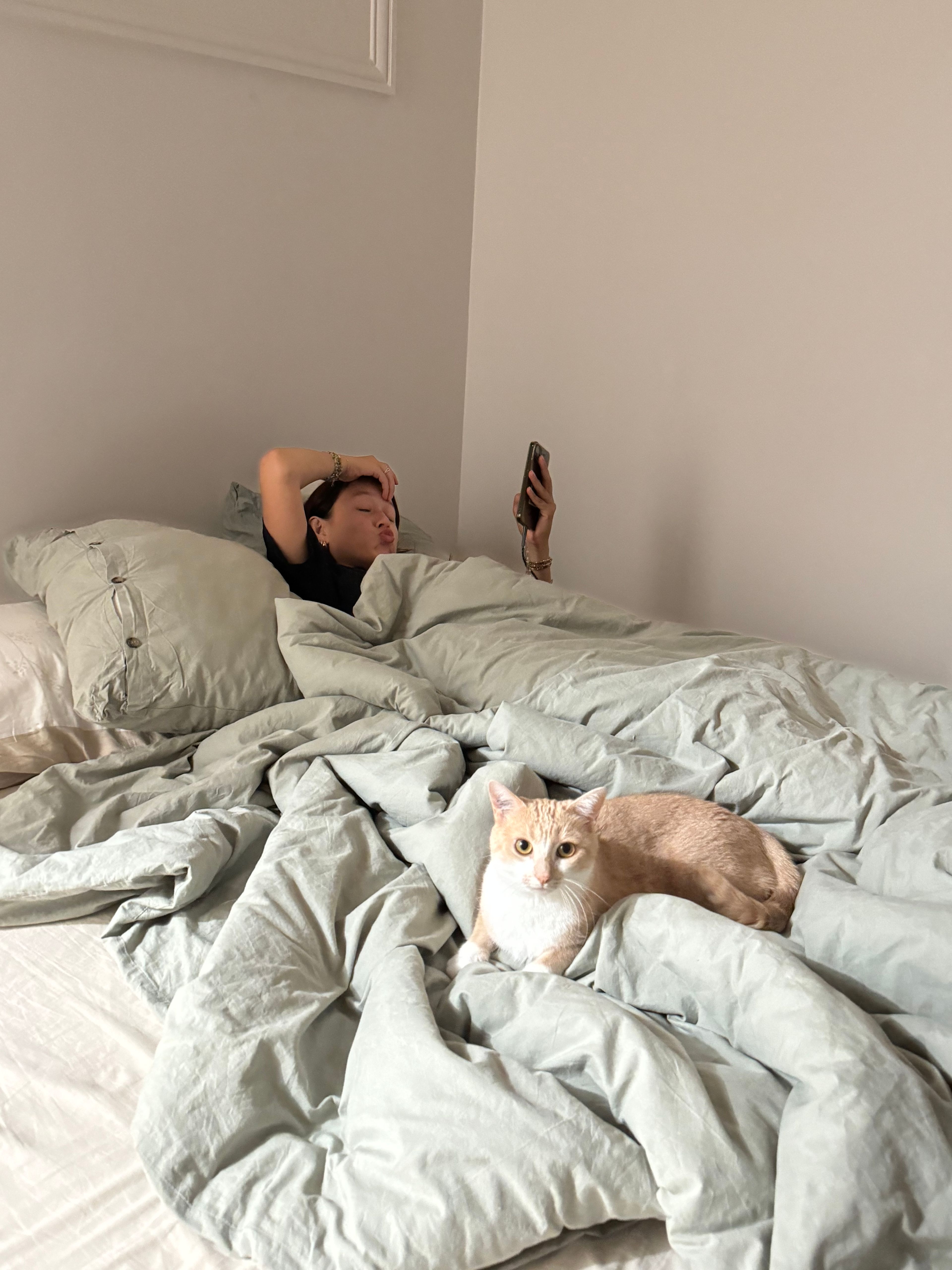 image-8