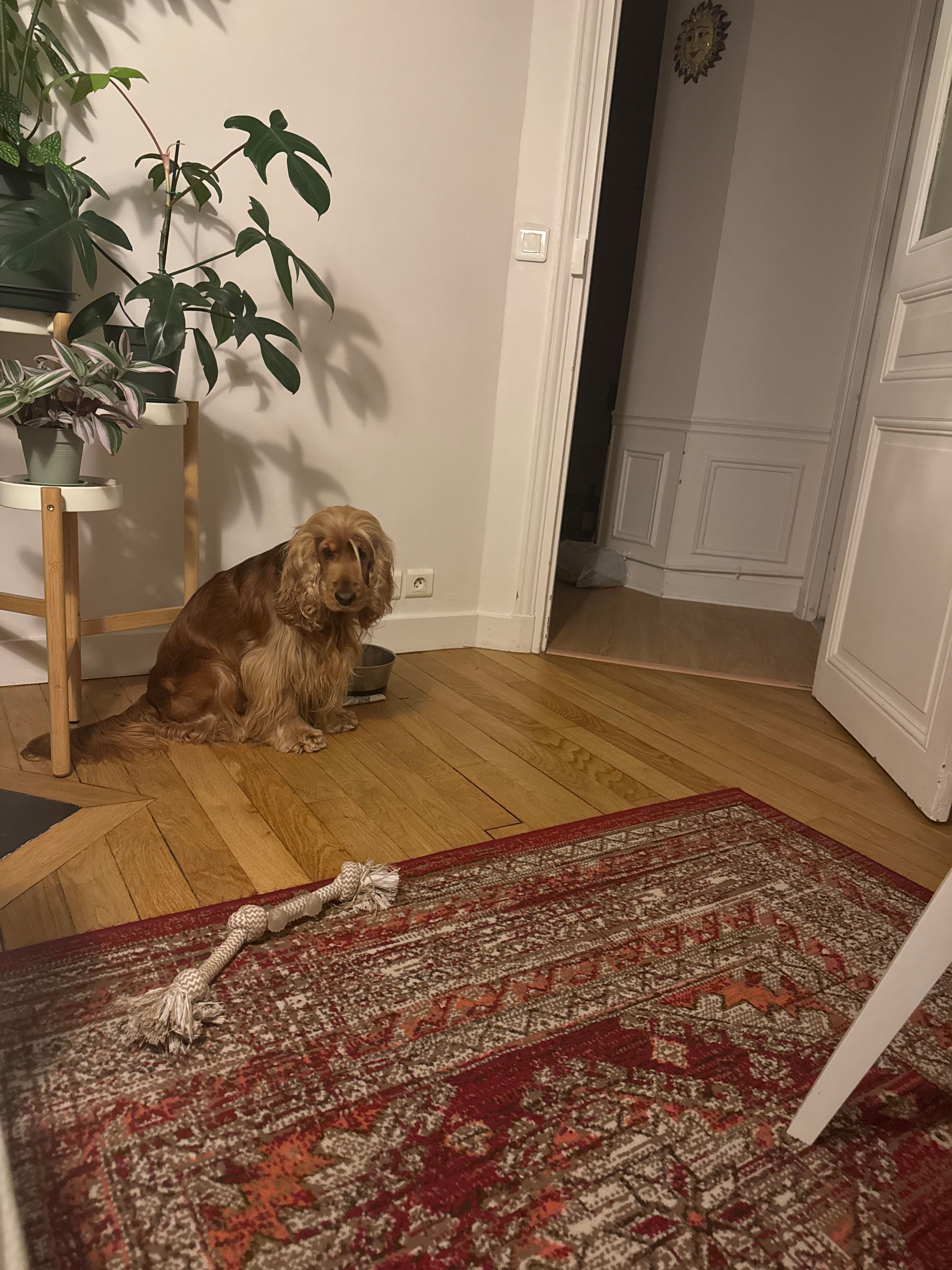 image-20