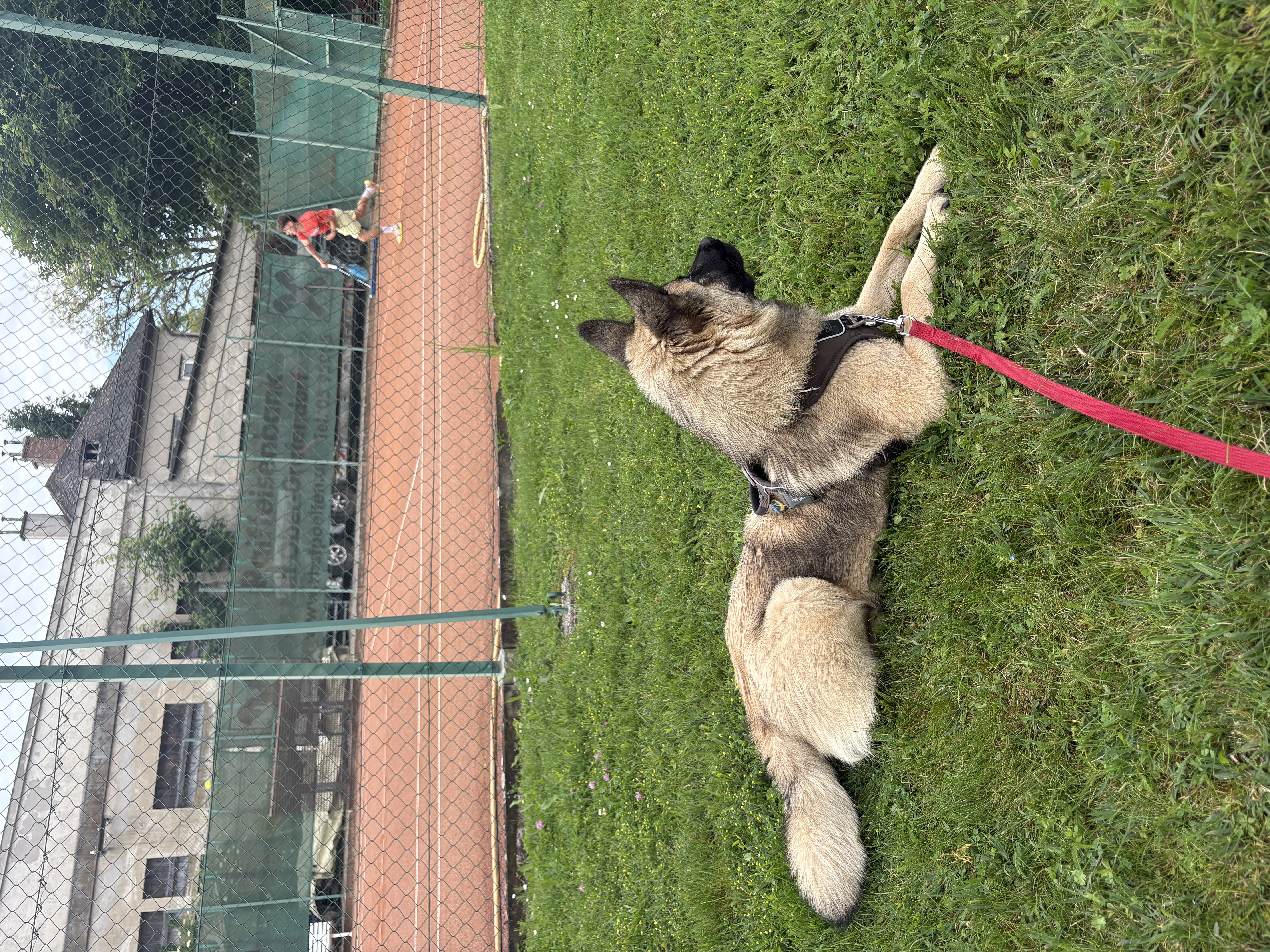 image-11