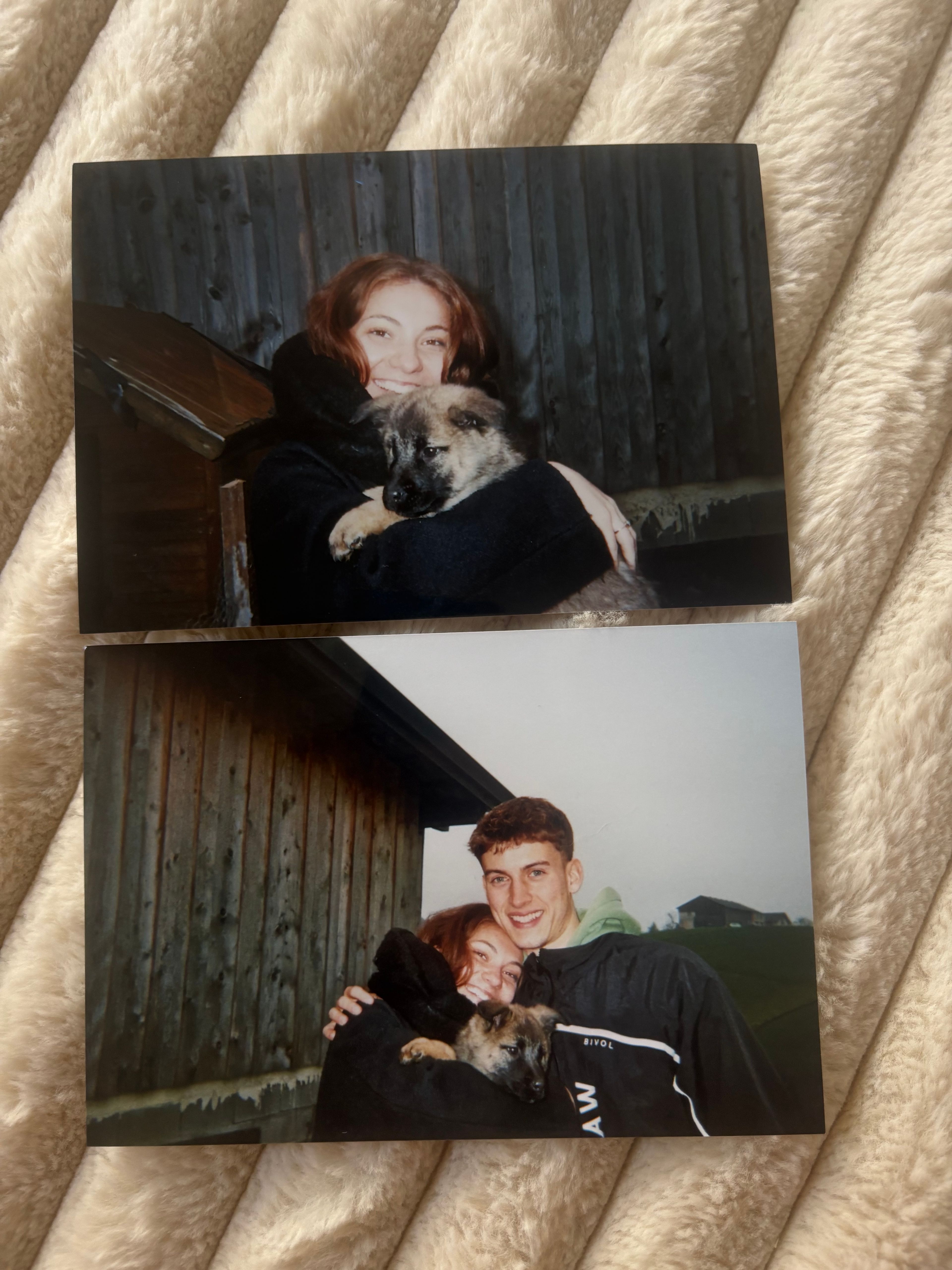 image-7