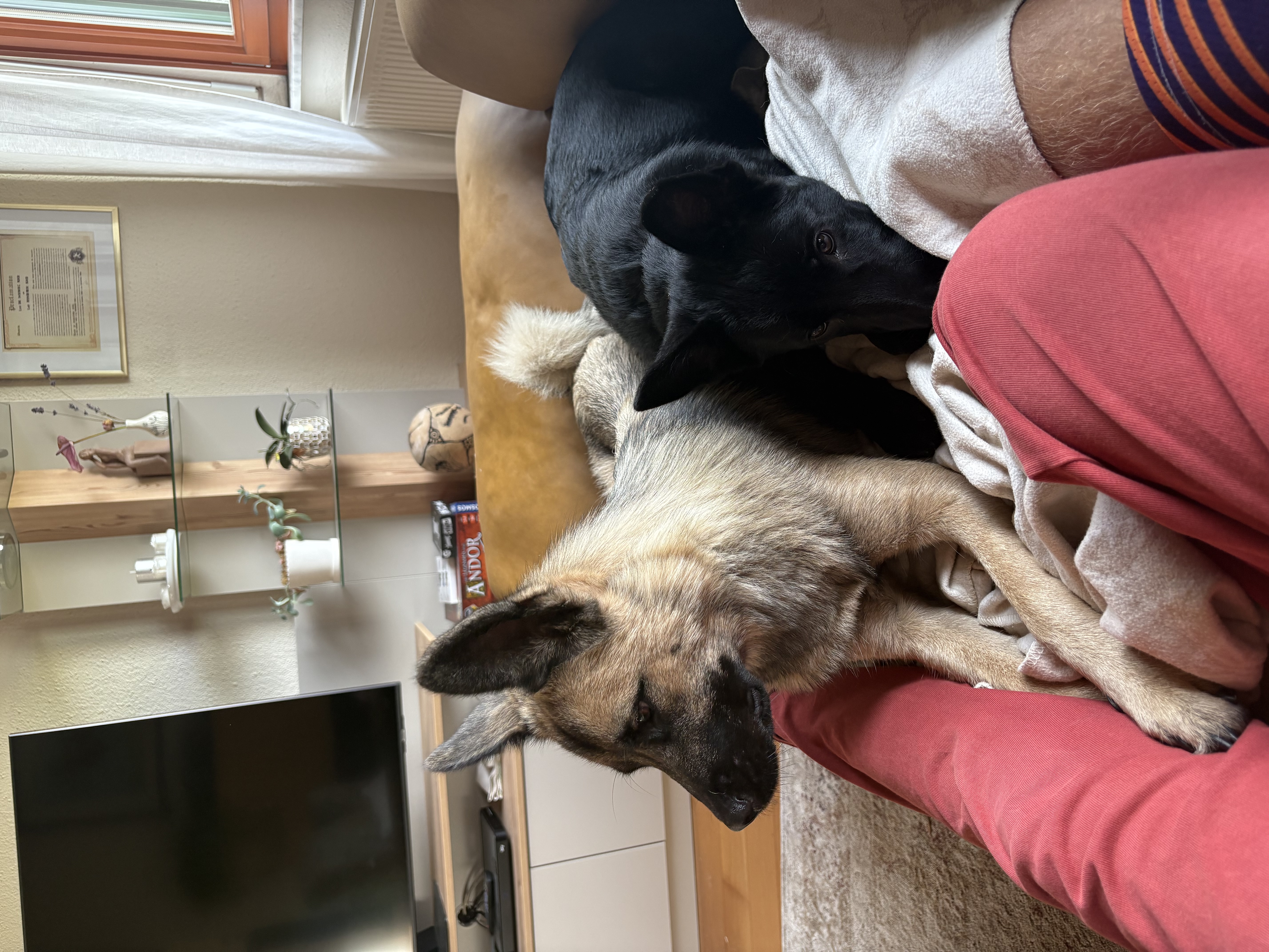 image-16