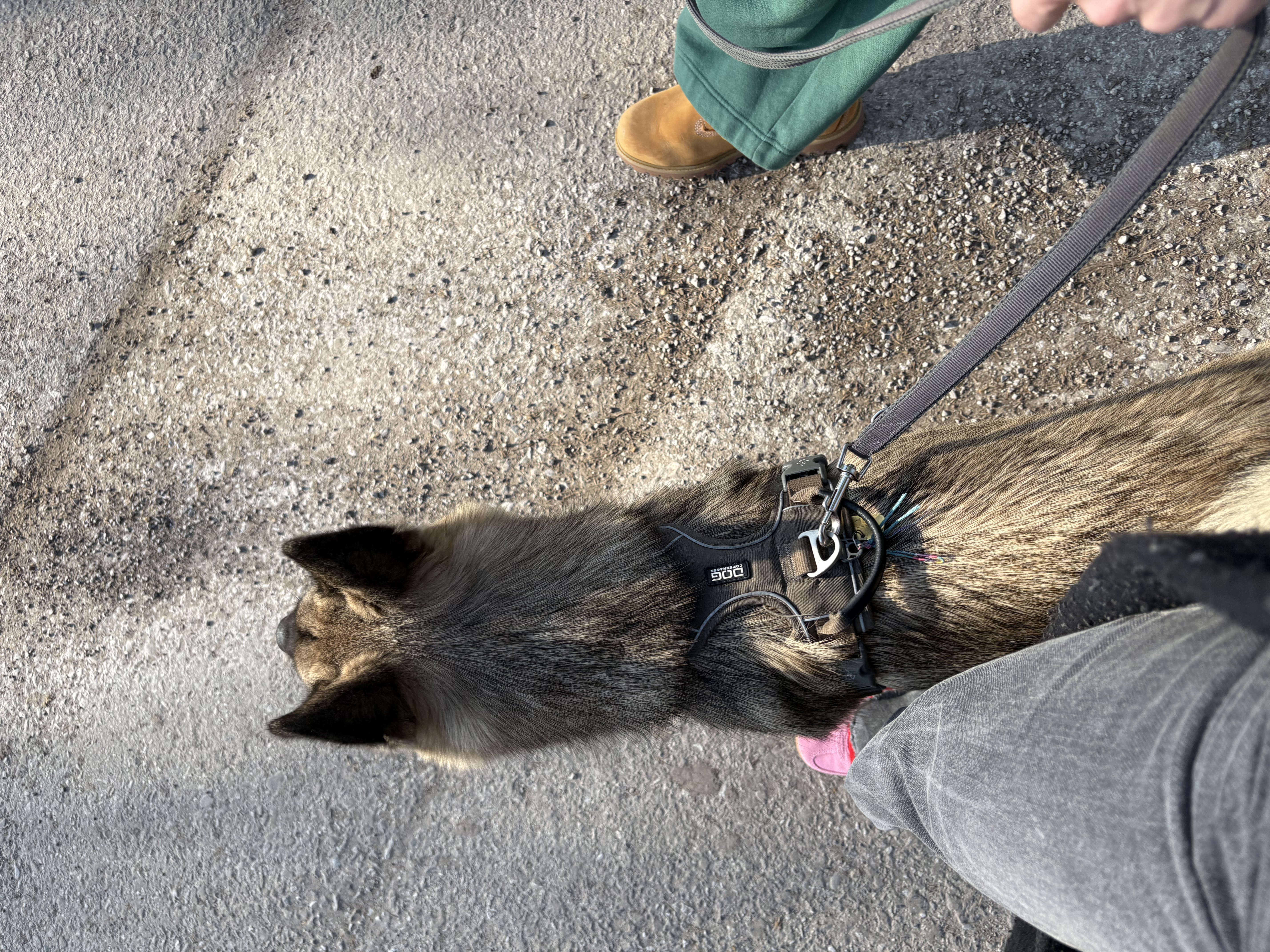 image-9