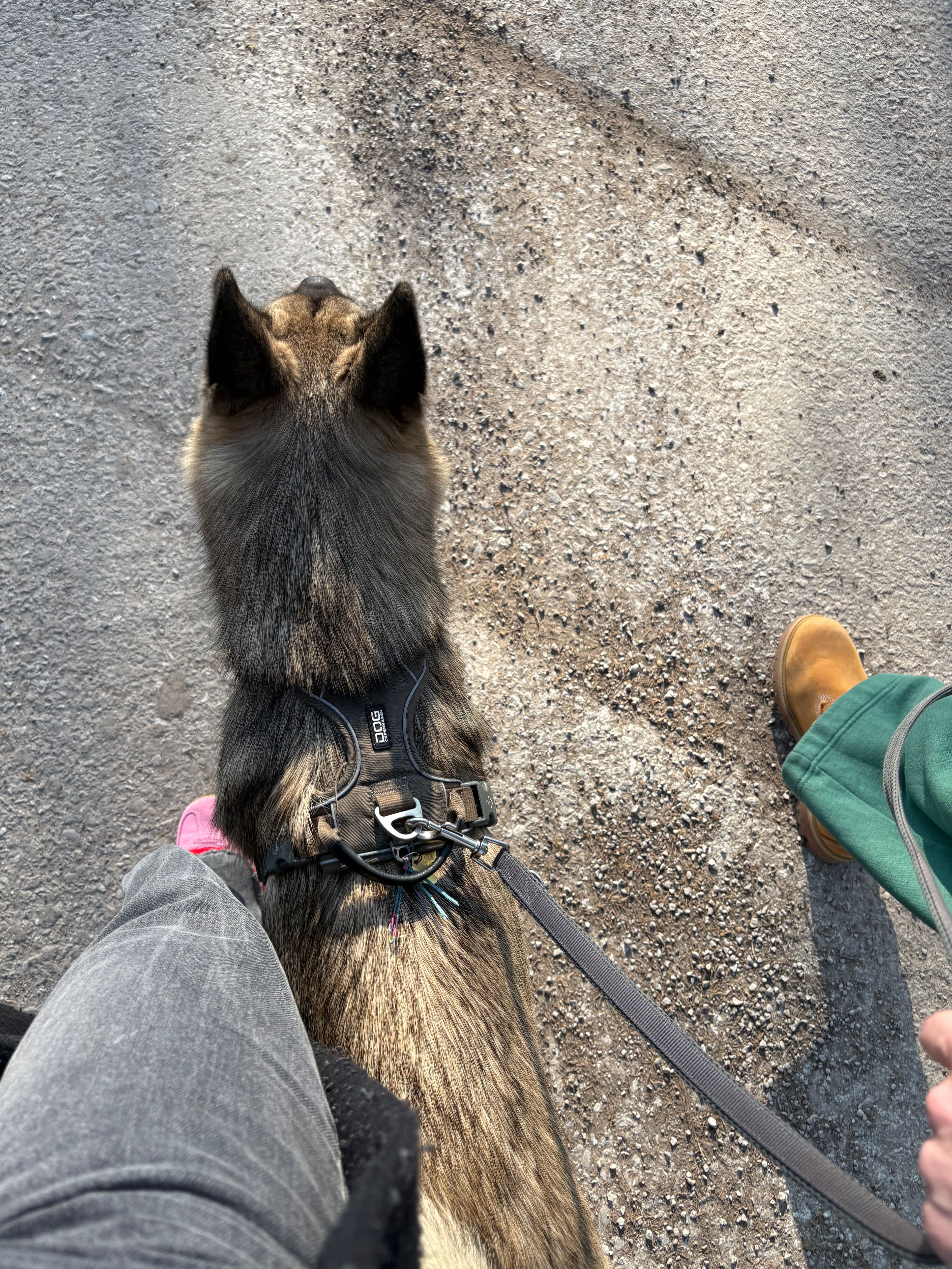 image-9