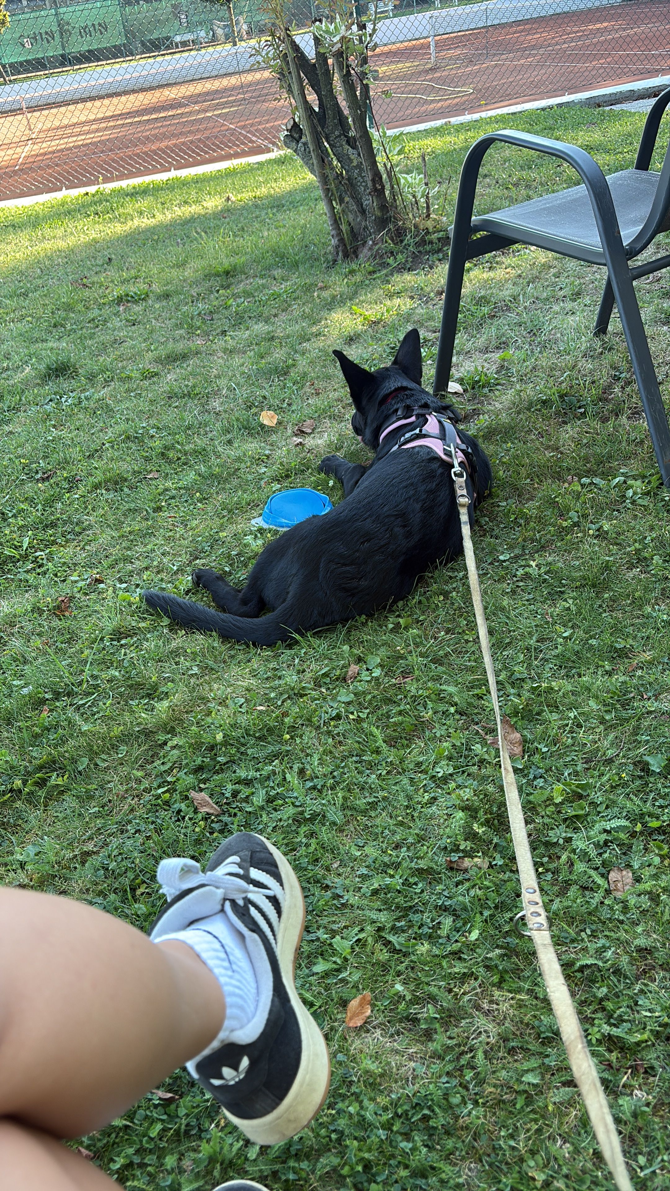 image-17