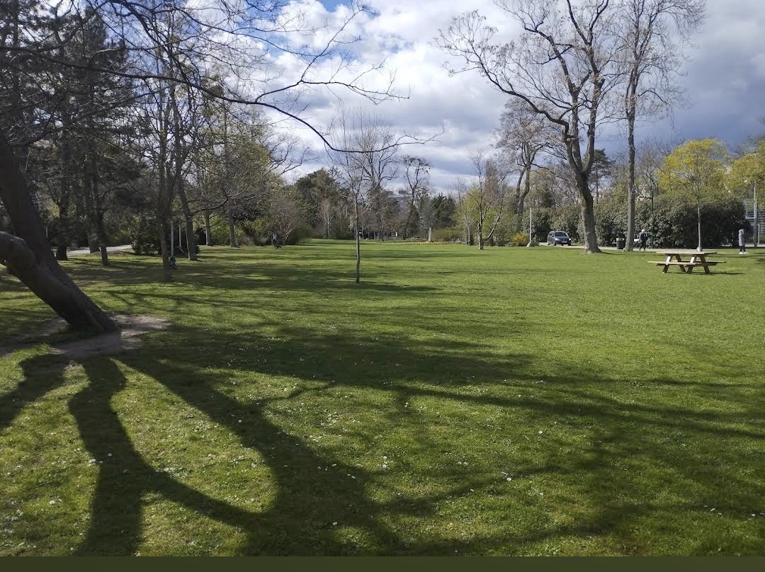 image-7
