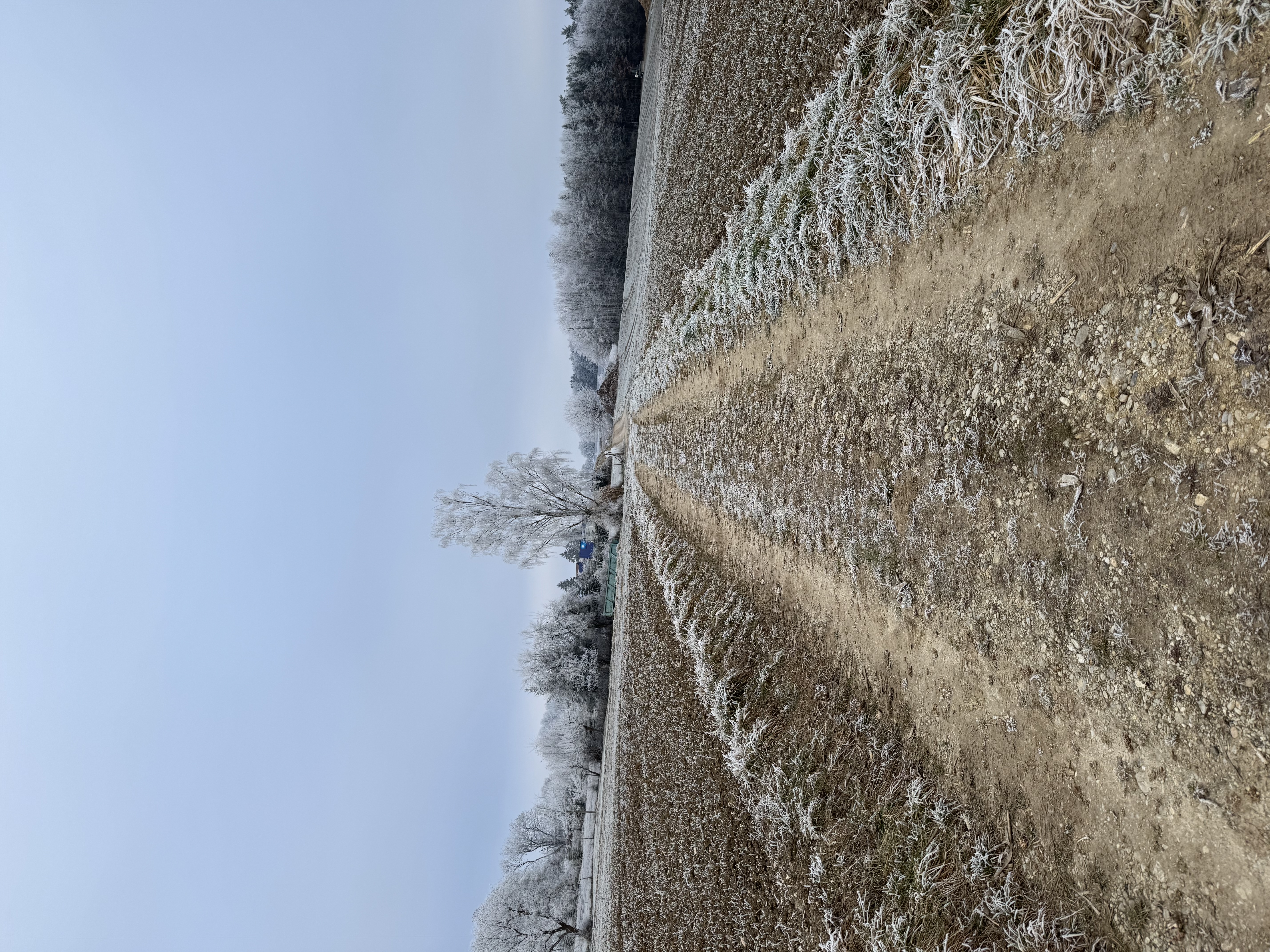 image-17