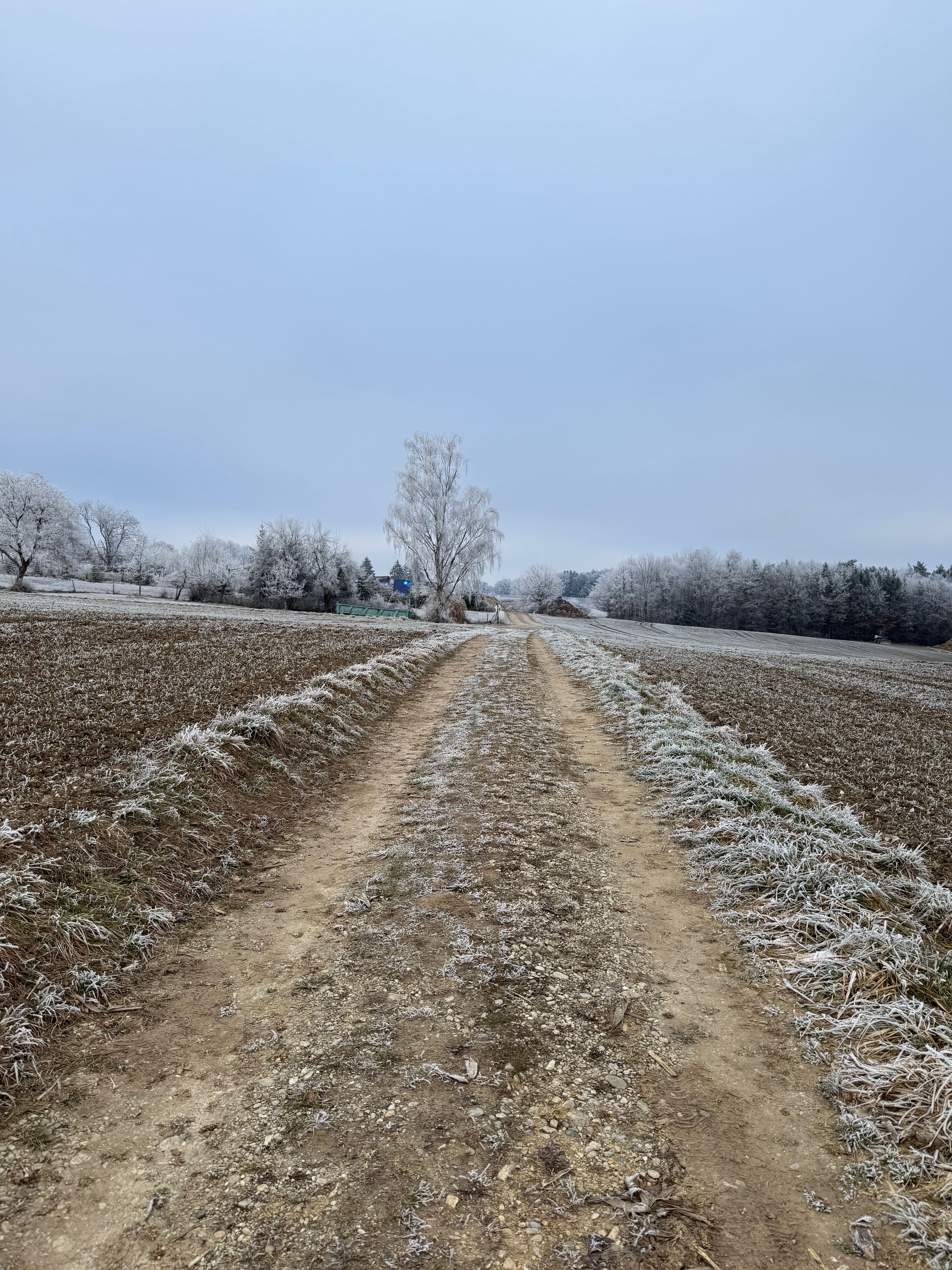 image-17