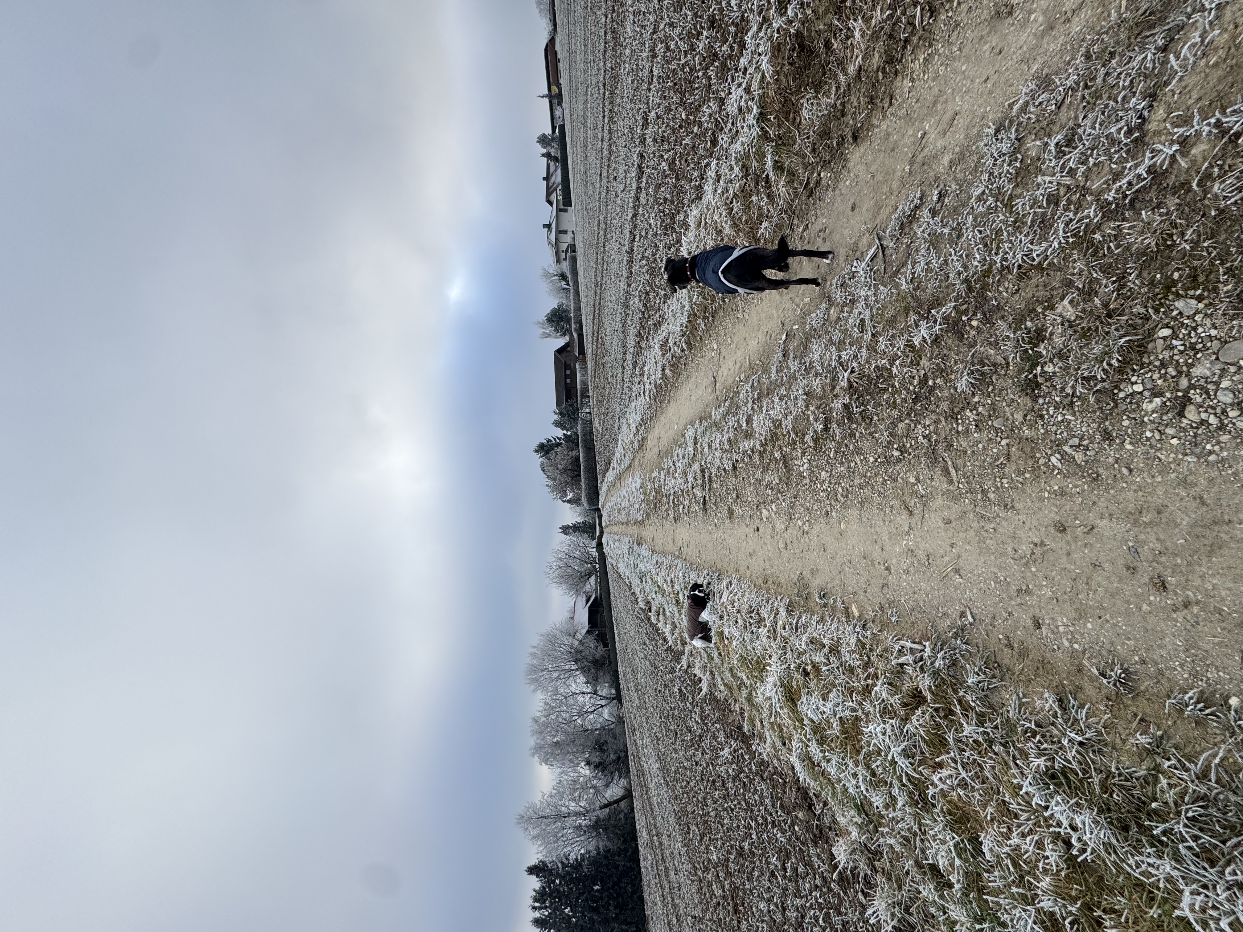 image-18