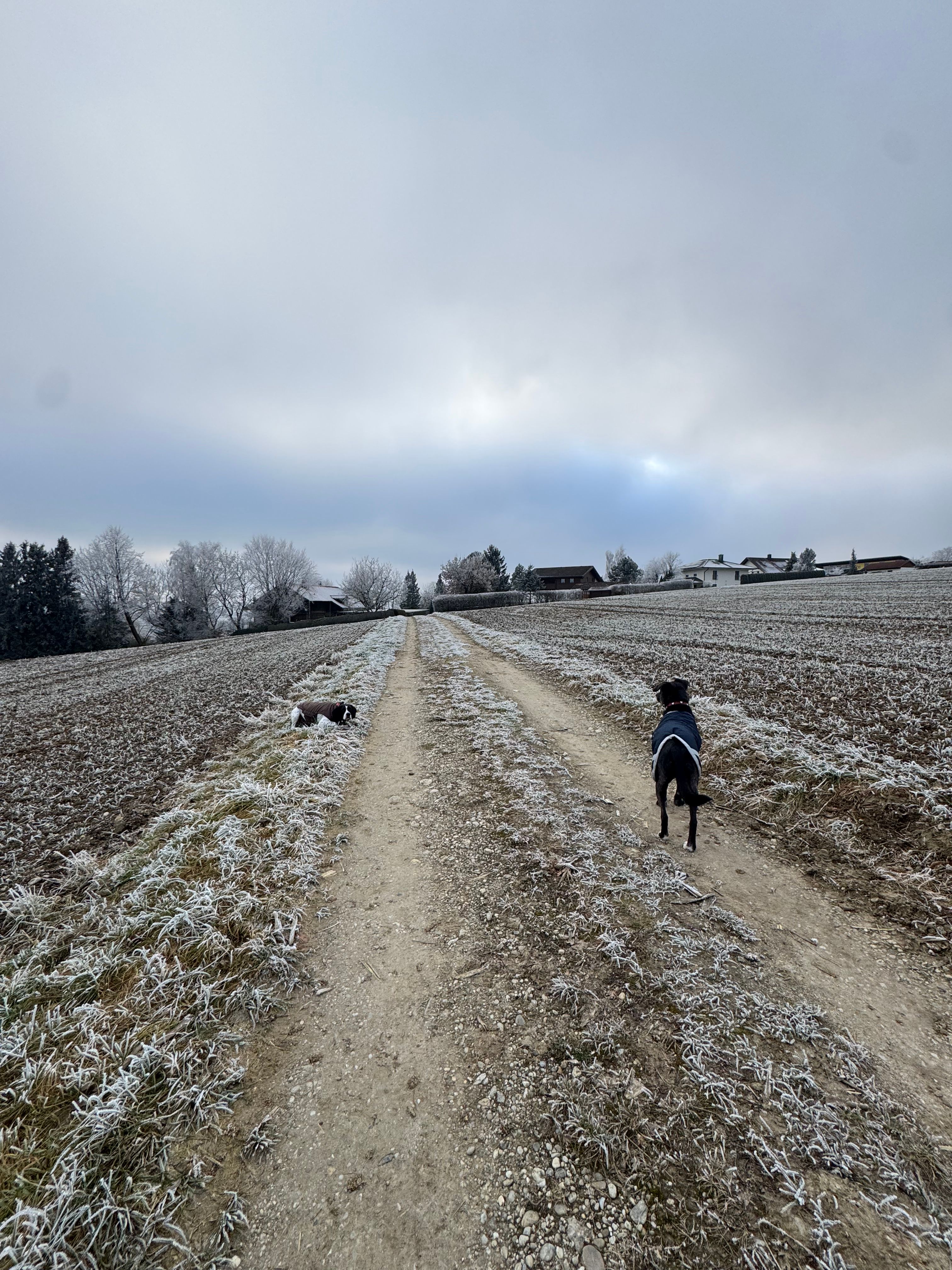 image-18