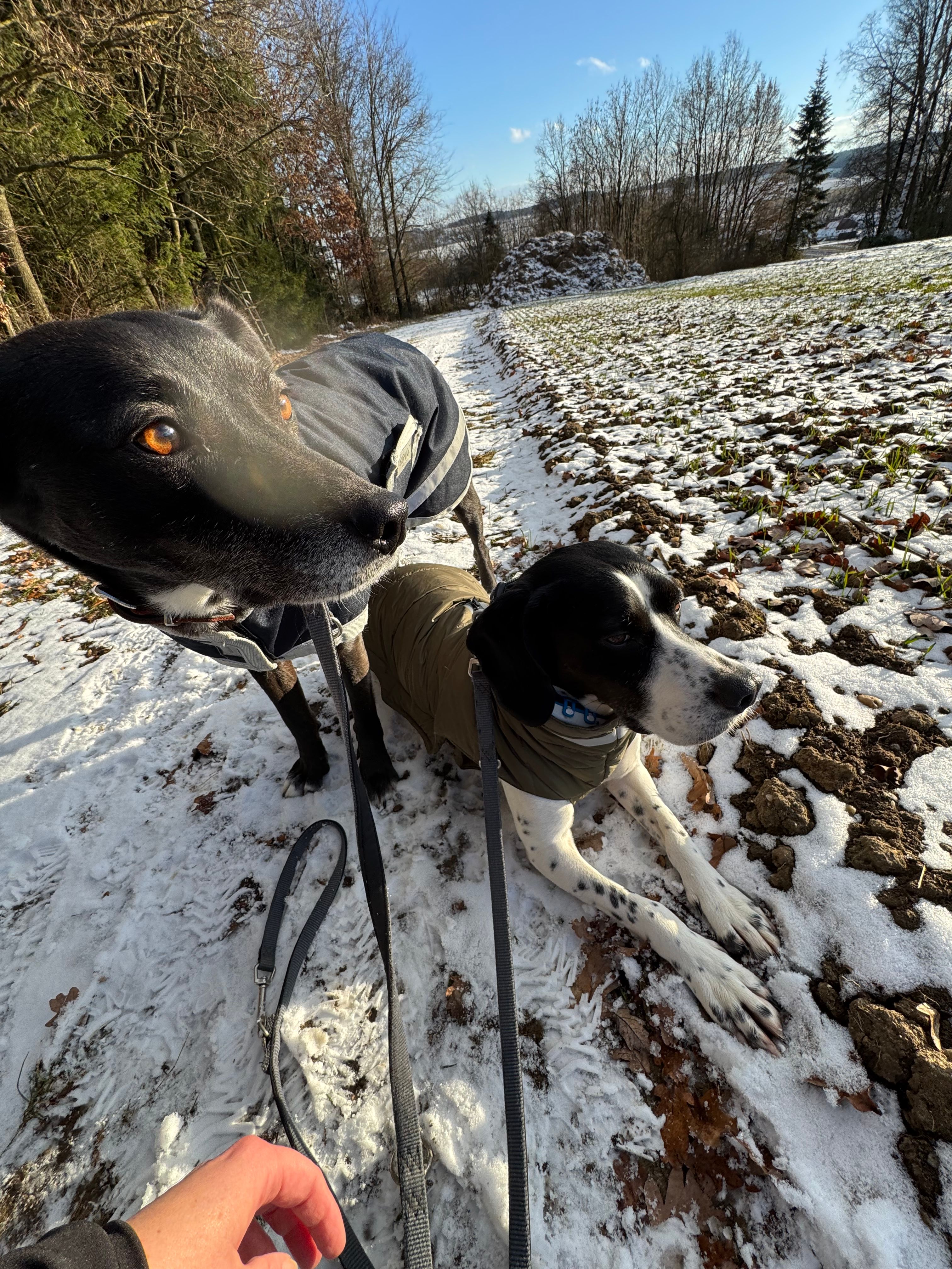 image-10