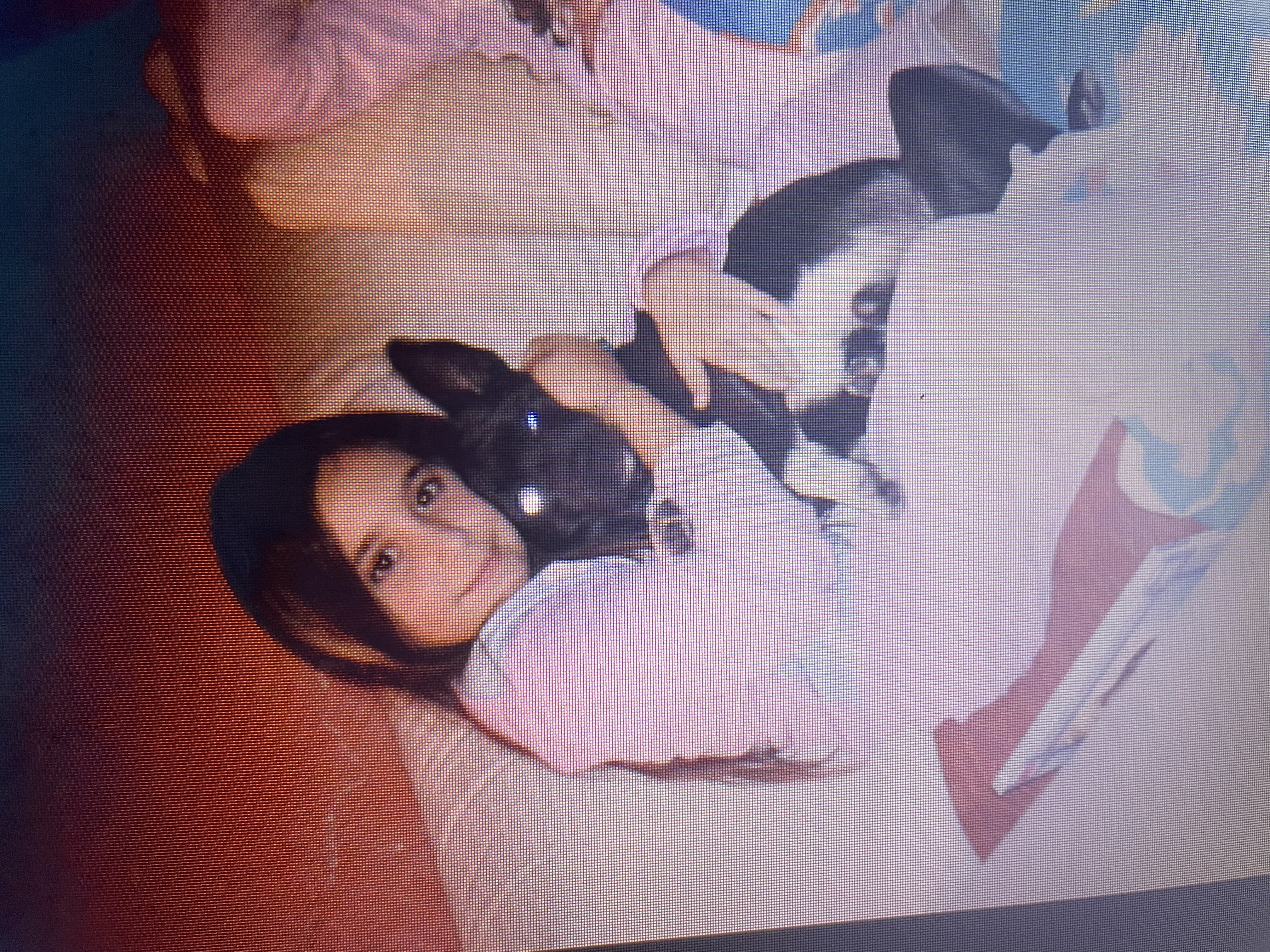 image-8