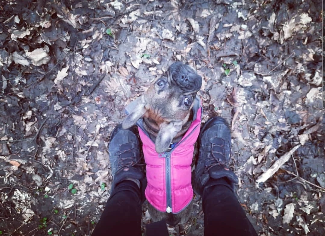 image-8
