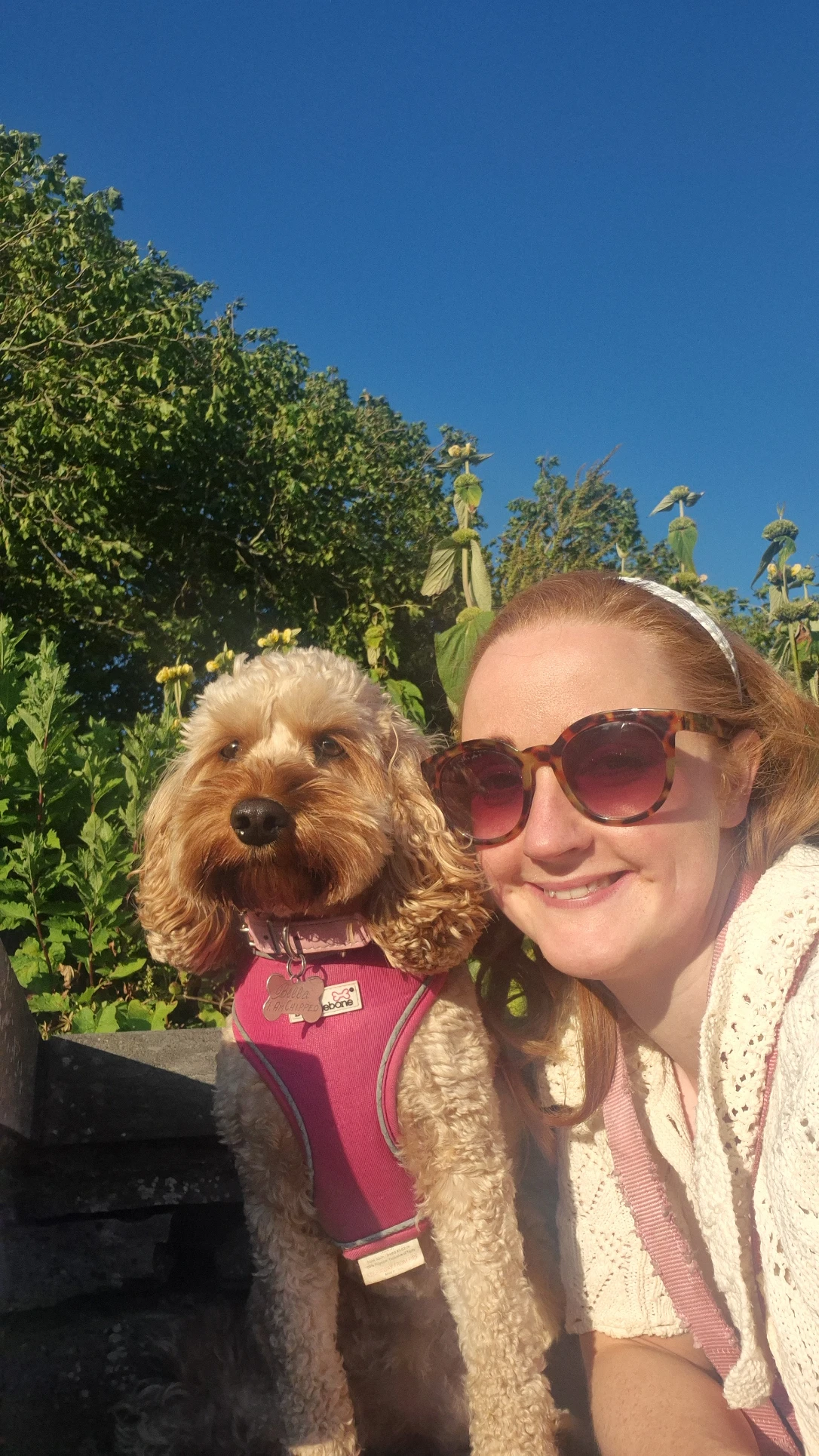 image-23