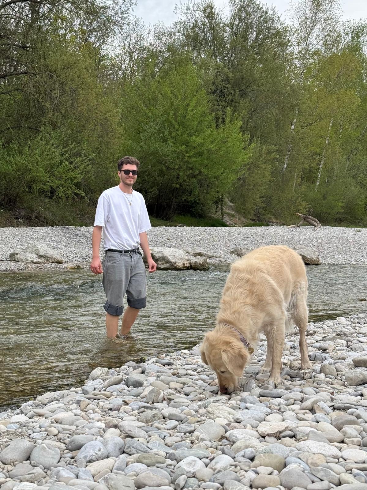 image-19