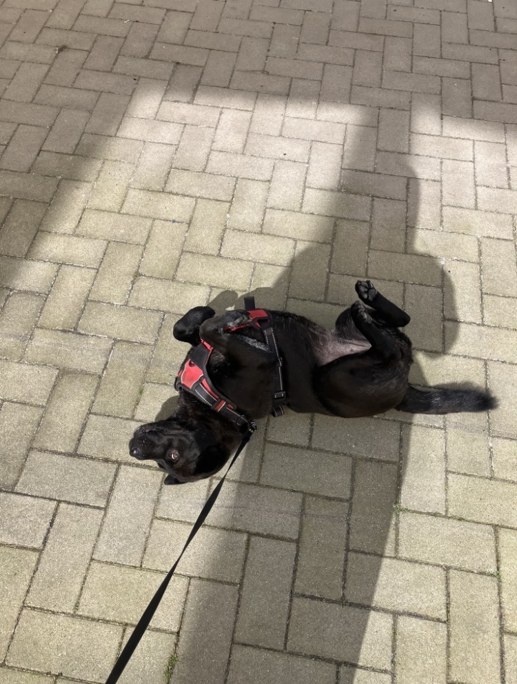 image-8