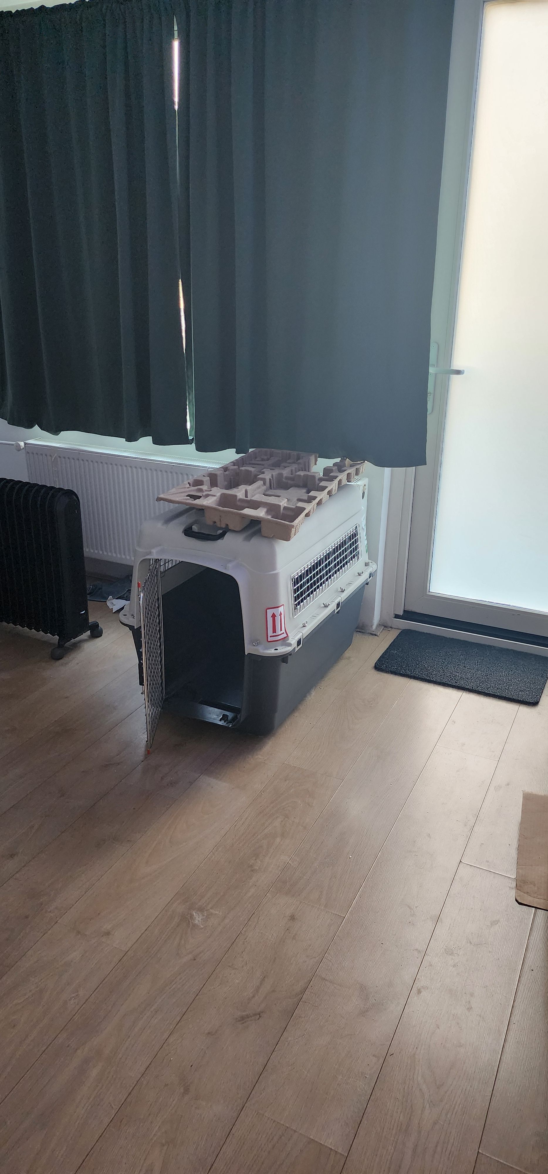 image-16