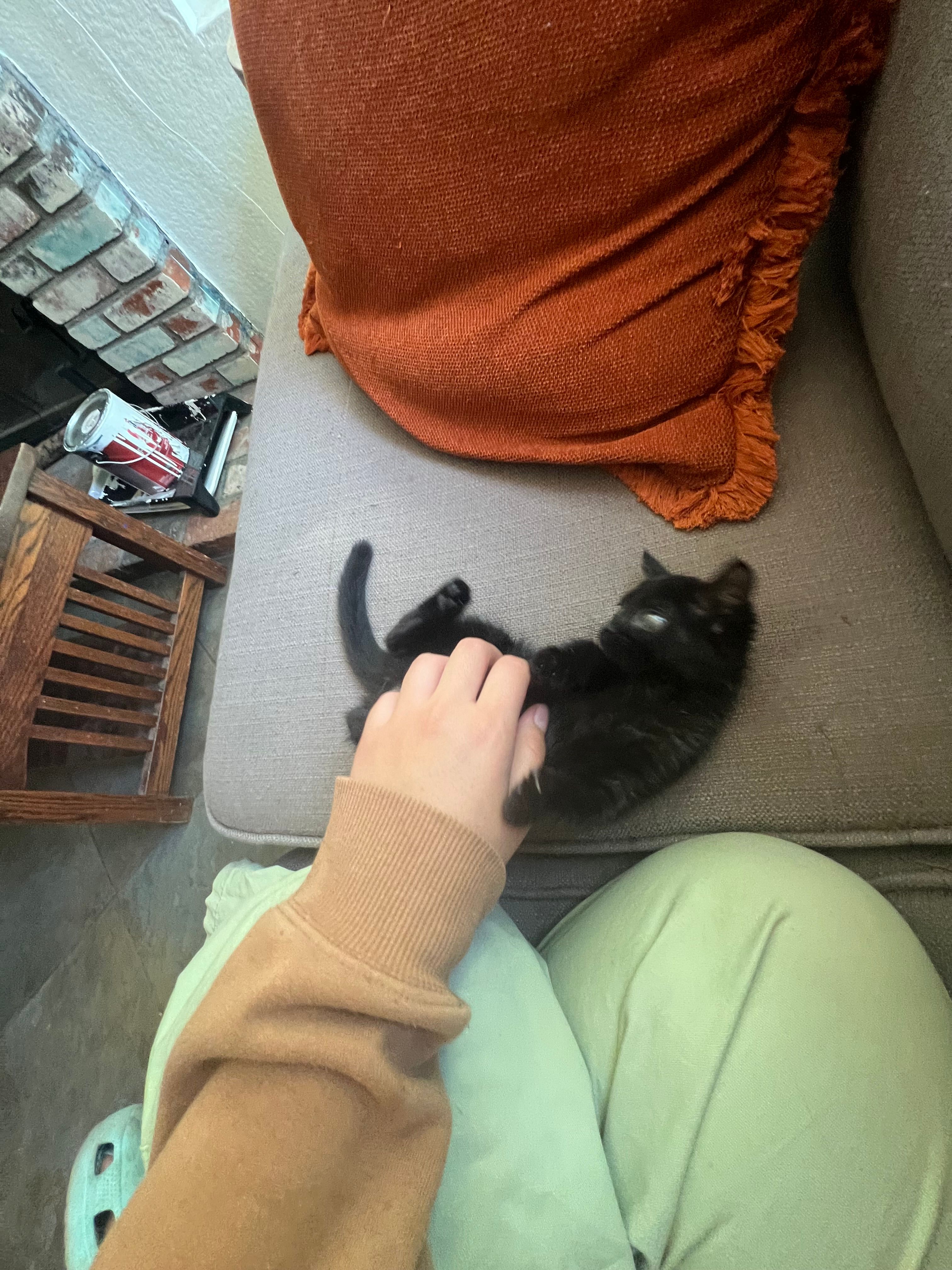 image-10
