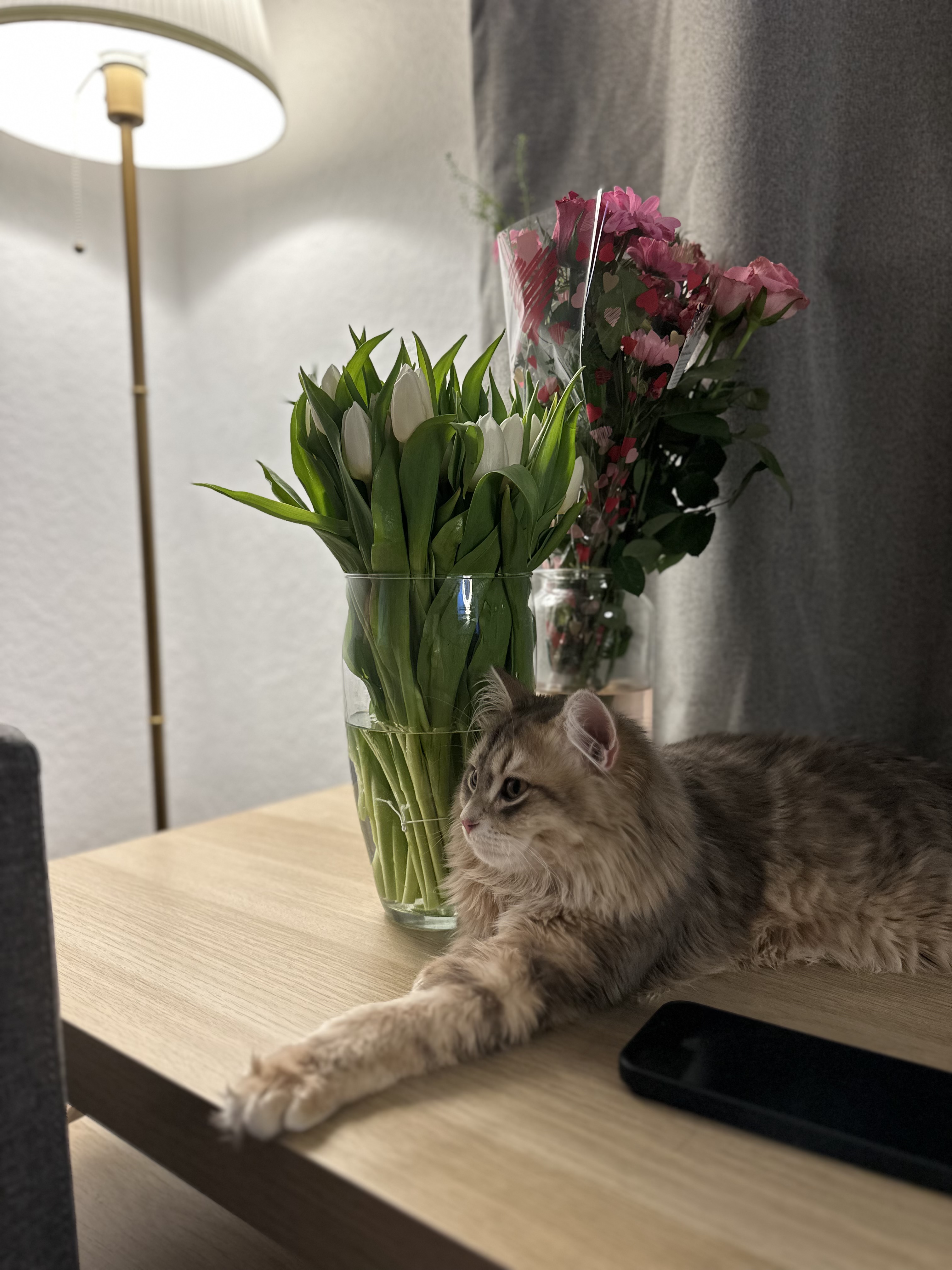 image-12