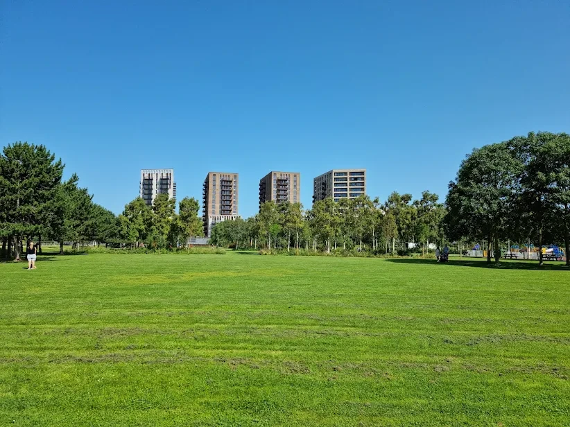 image-19
