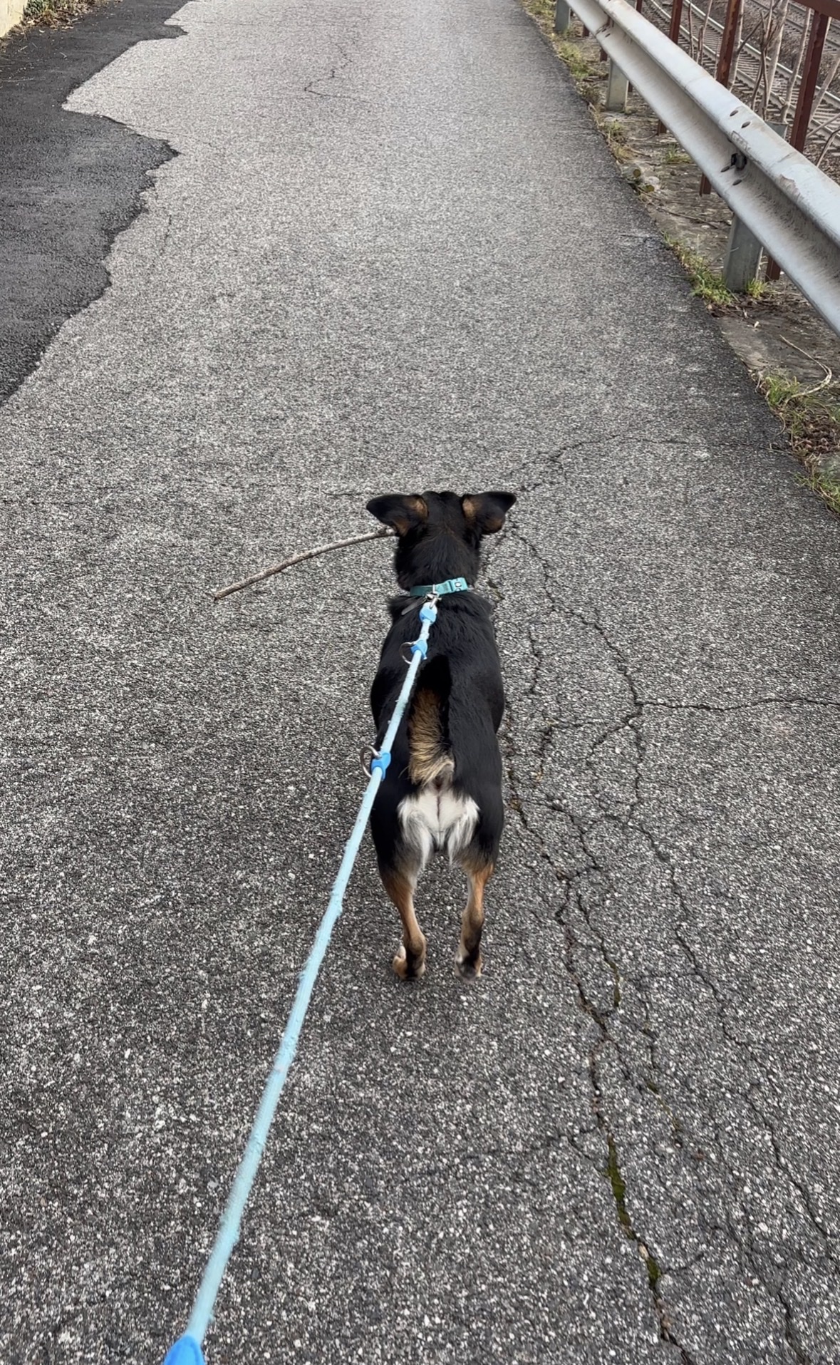 image-11
