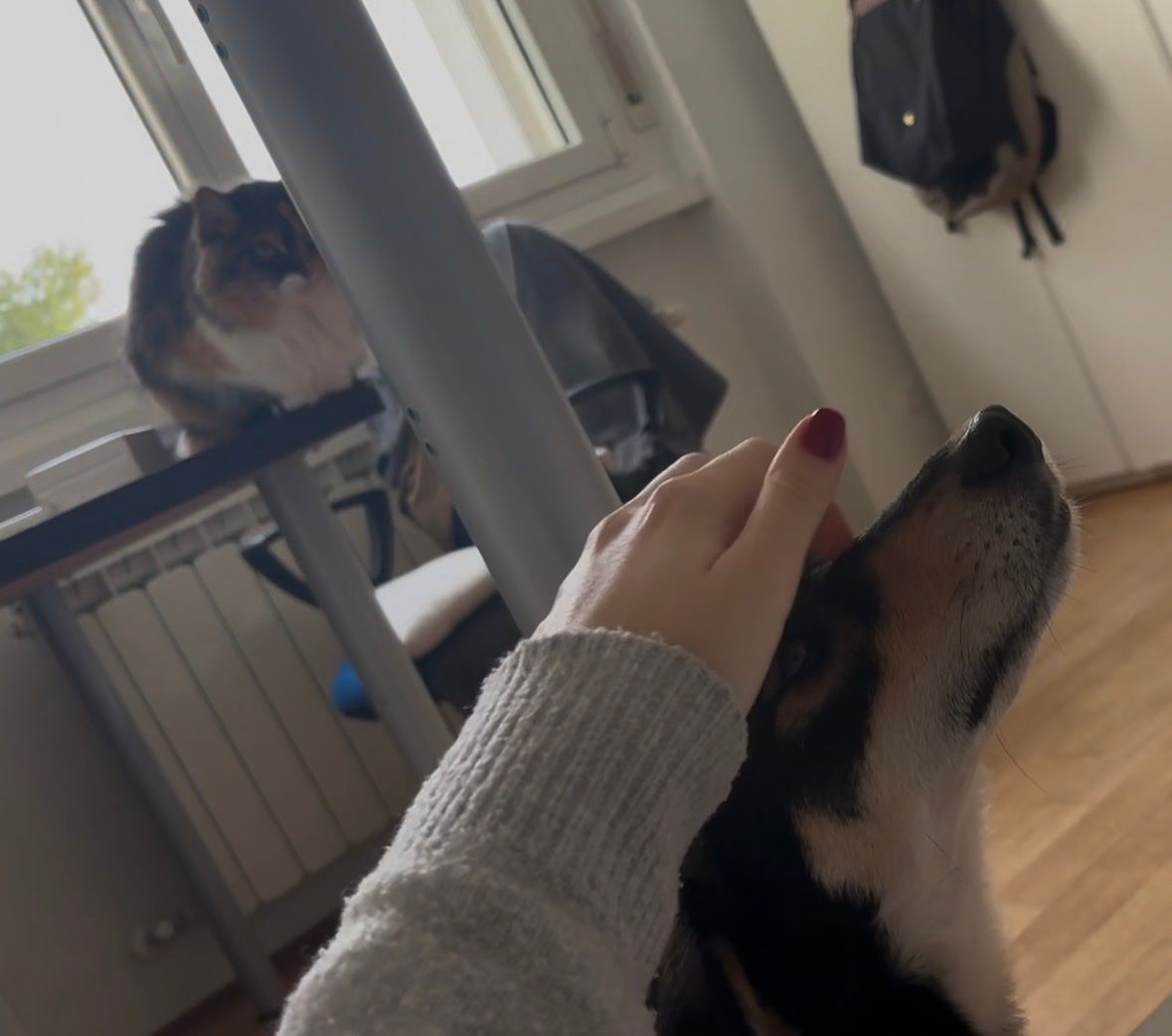 image-13