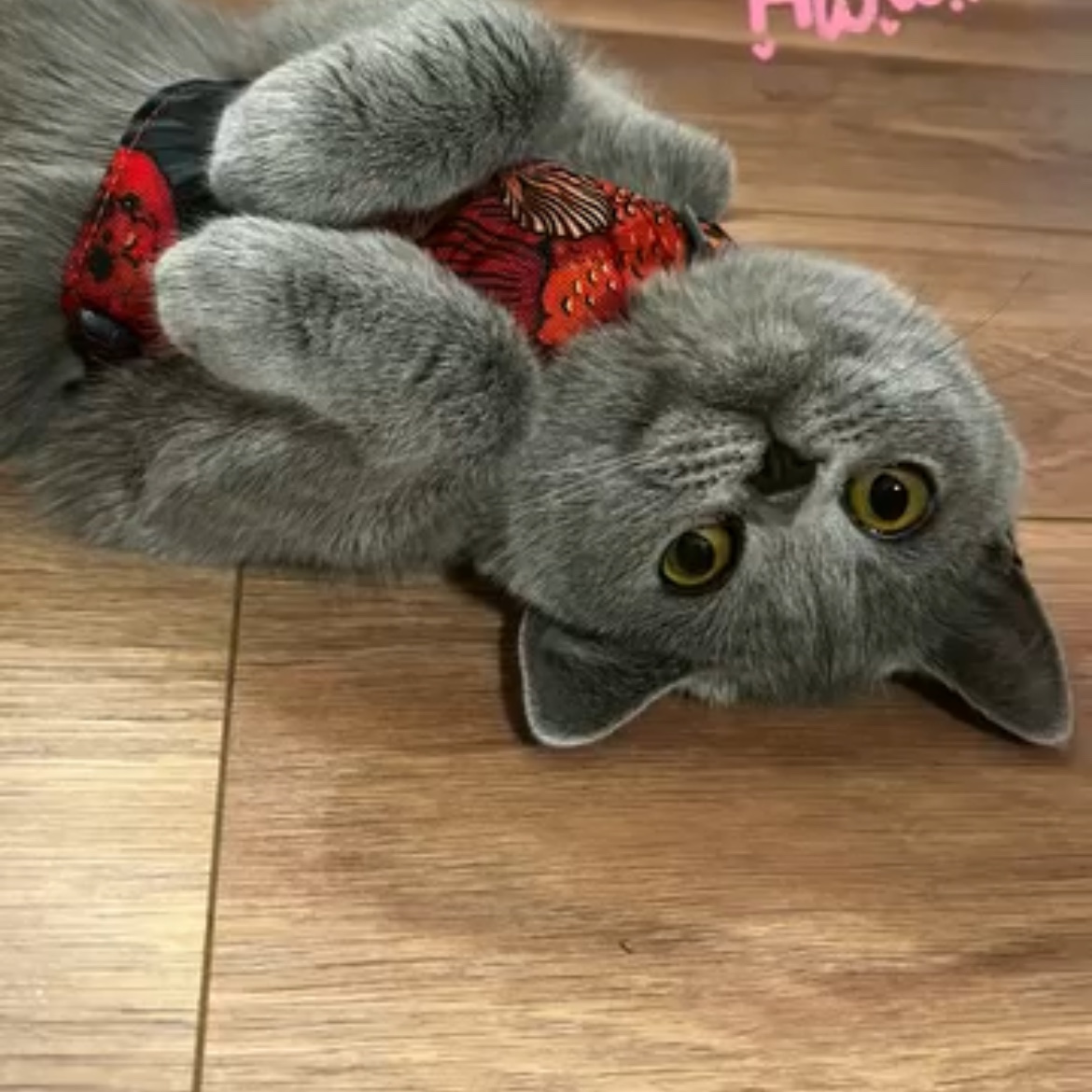 Mia