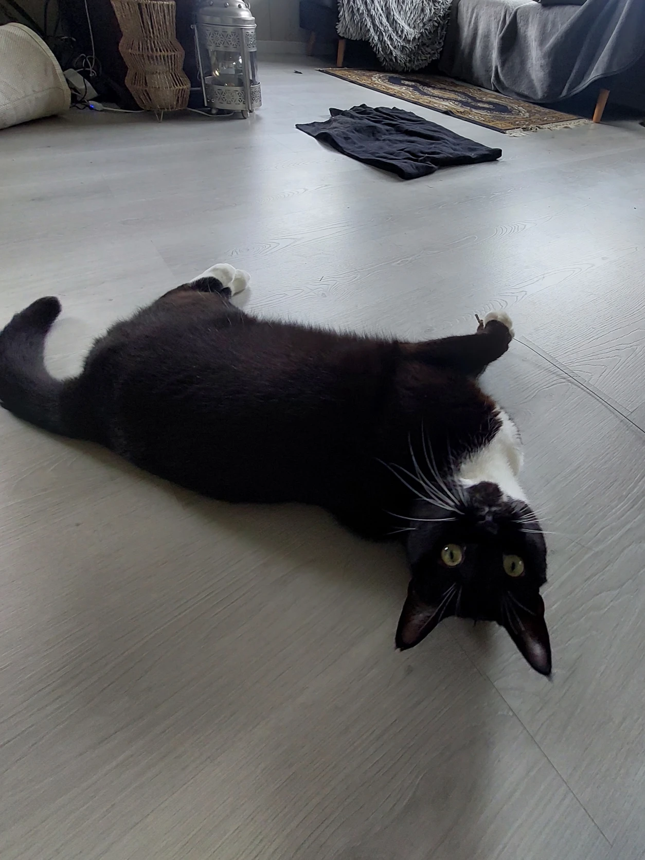 image-9