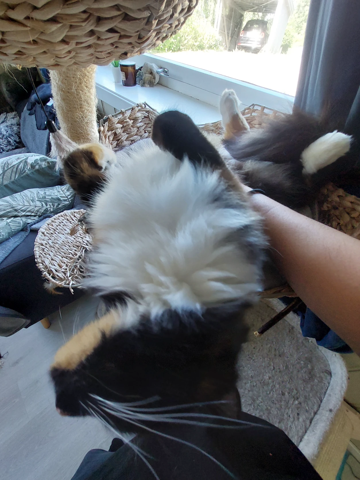 image-8