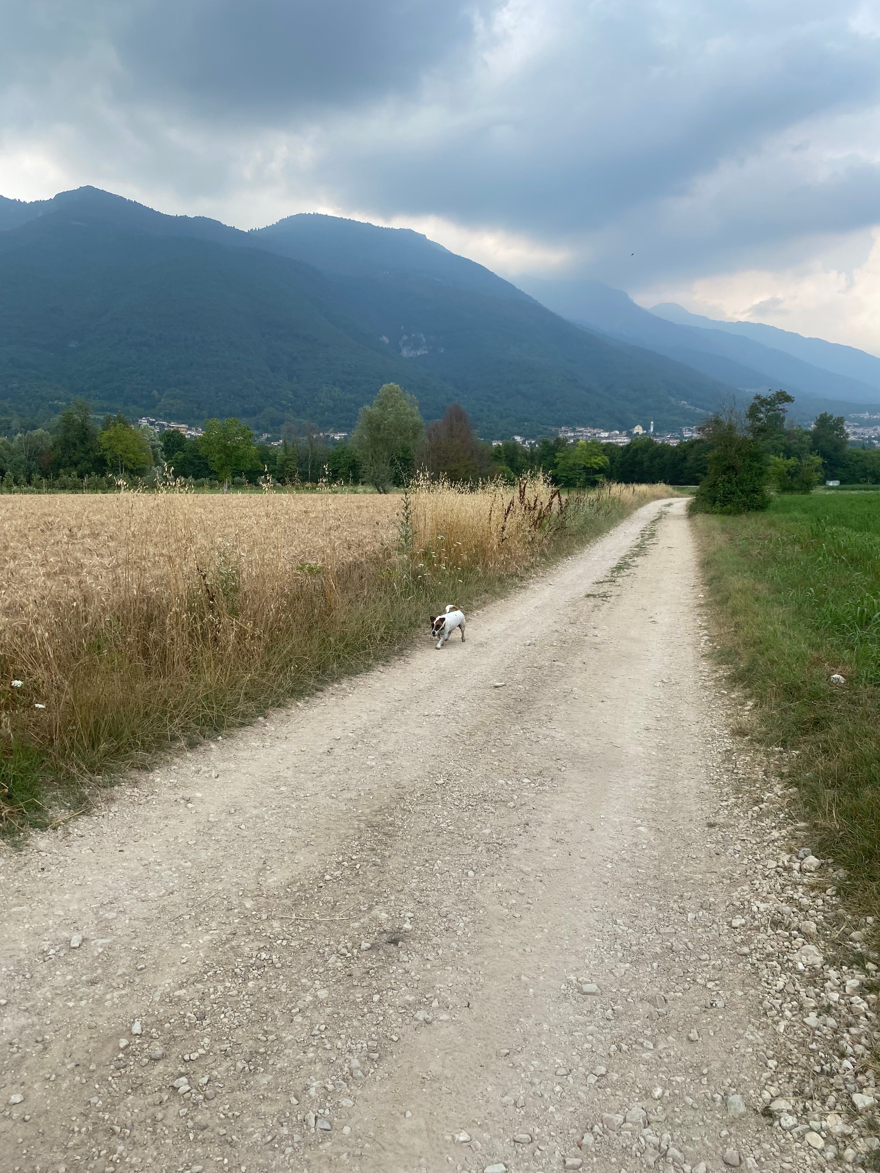 image-32