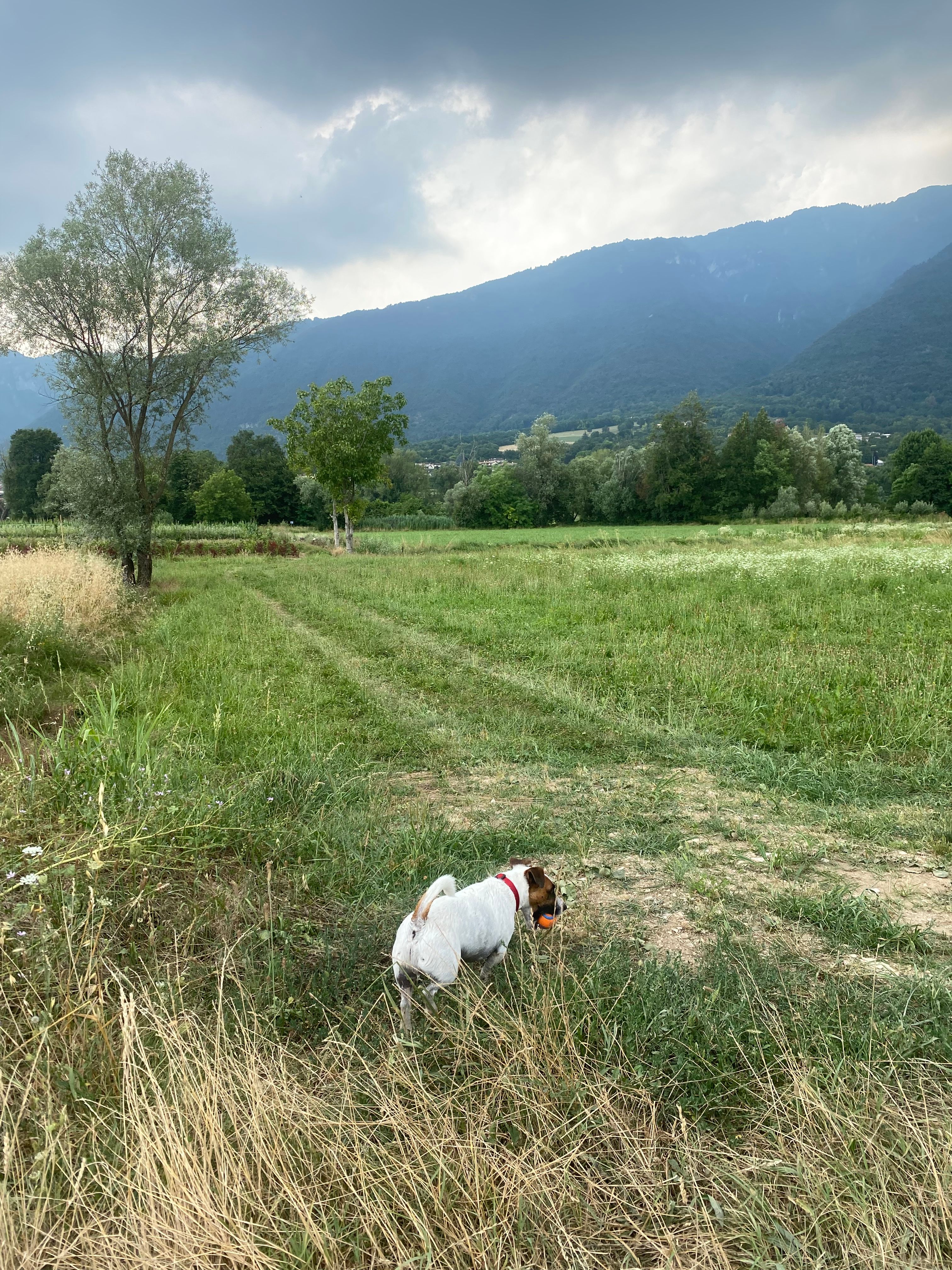 image-33